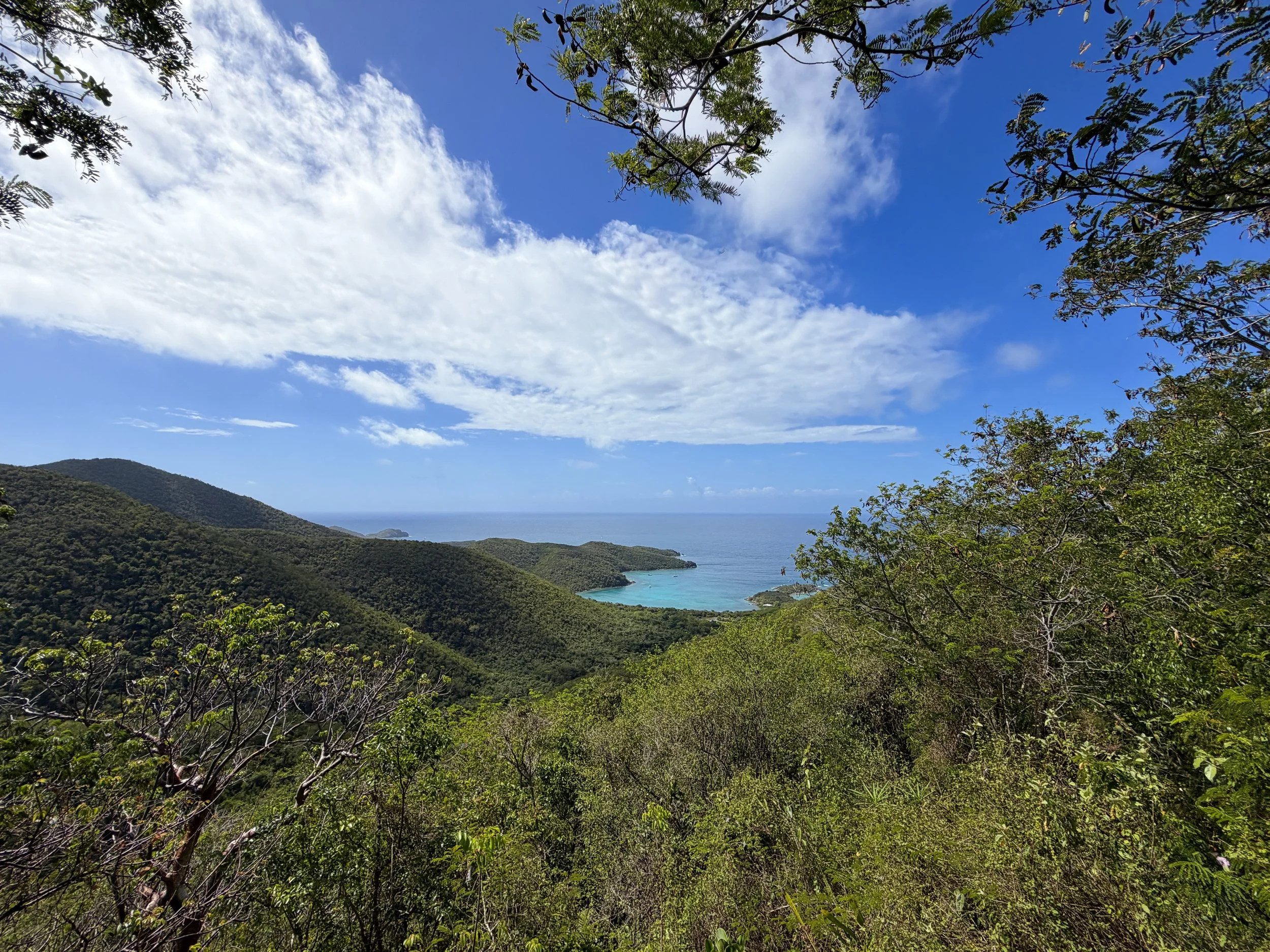 Bordeaux Mountain Trail Viewpoint Virgin Islands National Park