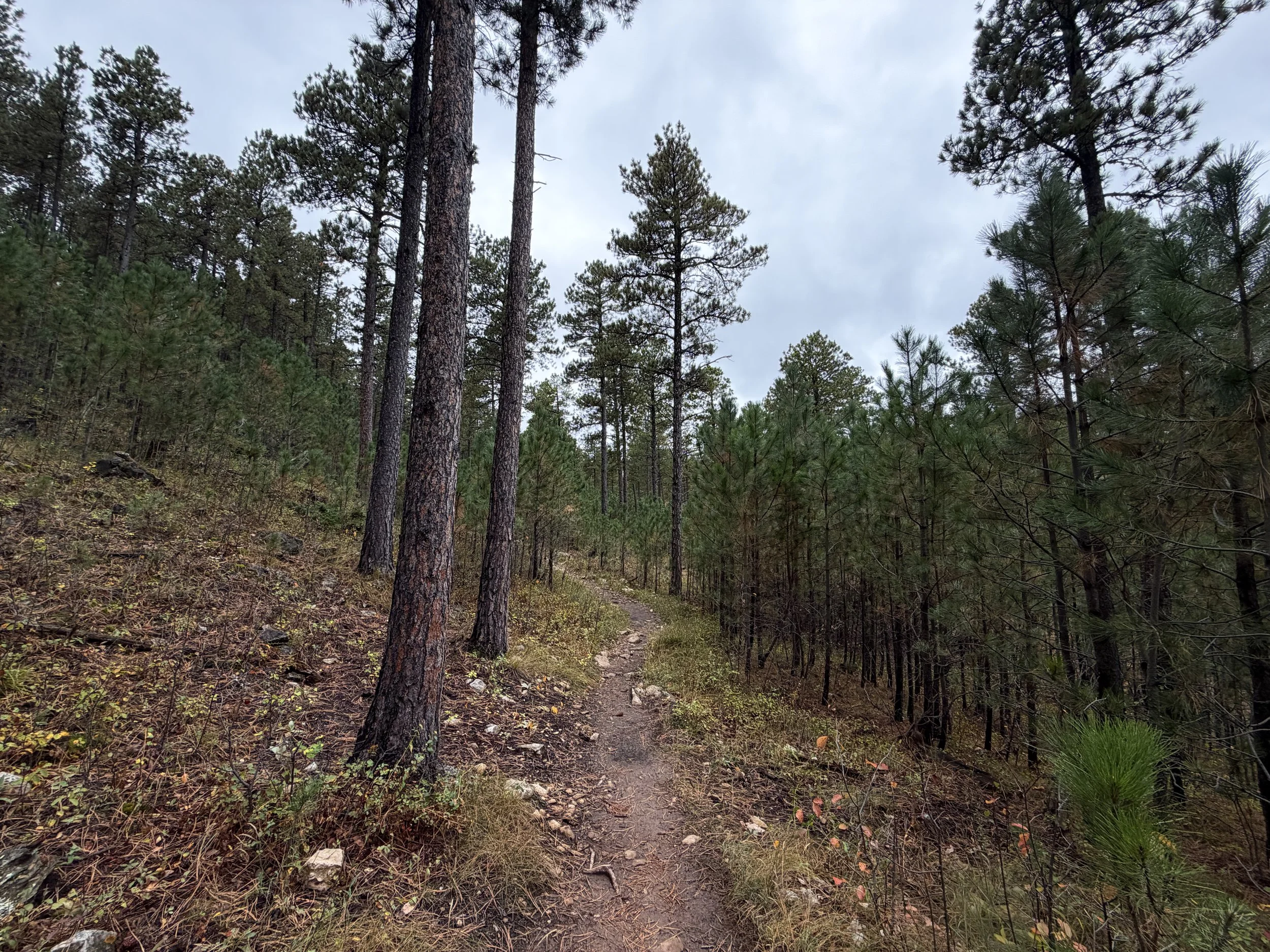 Buzzards Roost Hike Black Hills South Dakota
