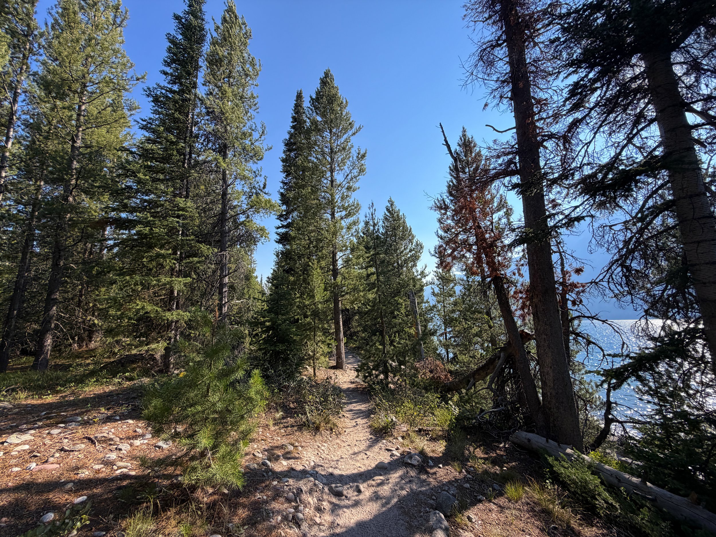 Jenny Lake Loop Trail Grand Teton National Park Wyoming