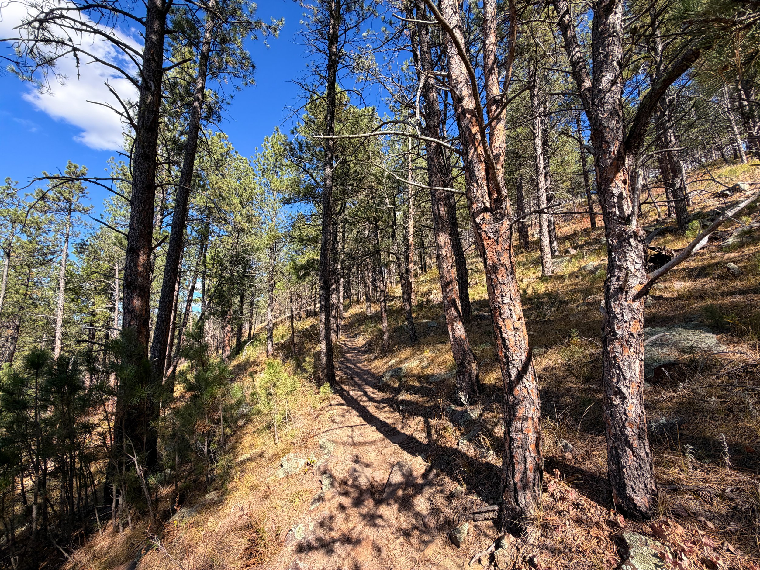 Rankin Ridge Nature Trail Wind Cave National Park South Dakota