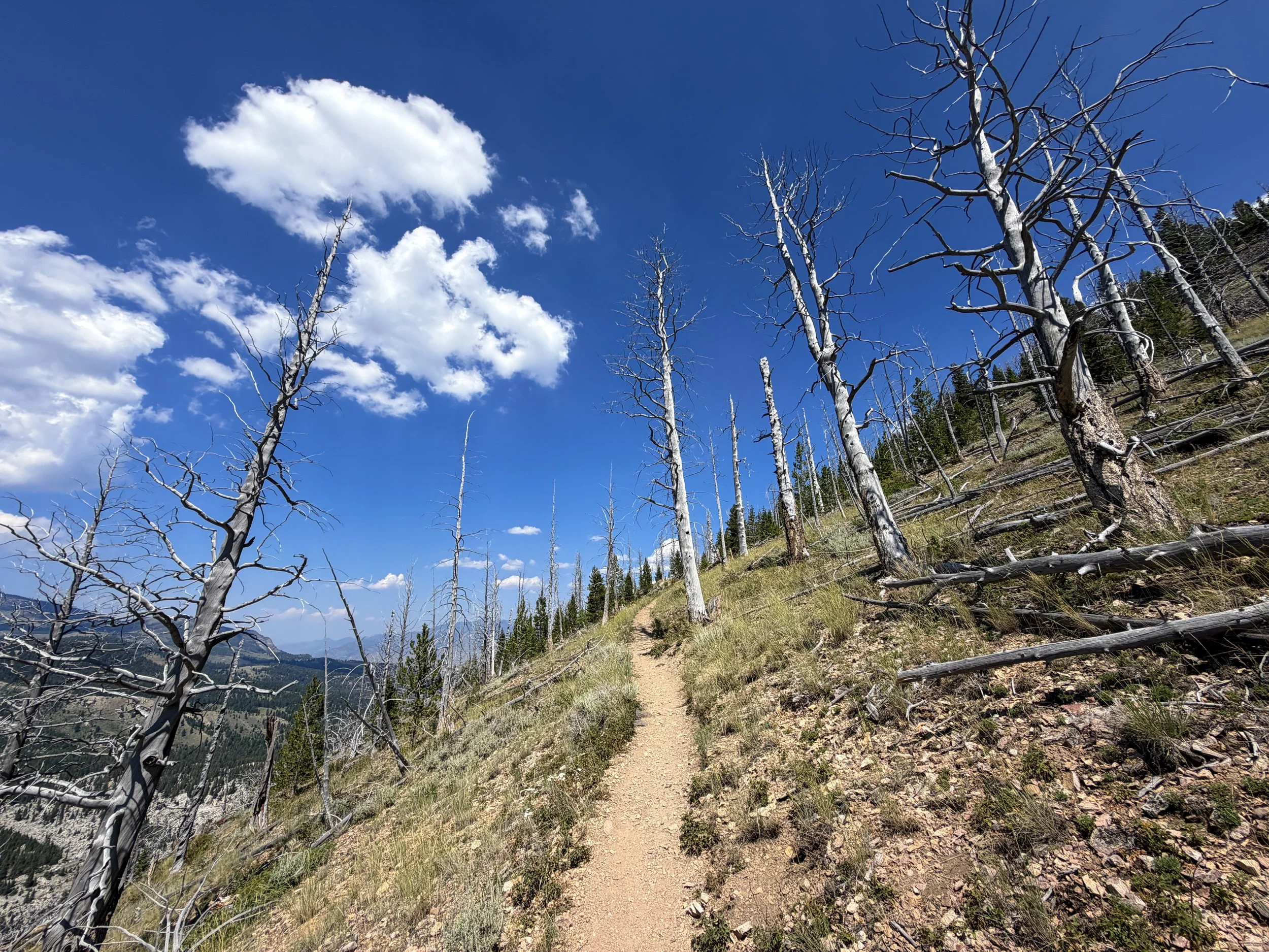 Bunsen Peak Hike Yellowstone National Park Wyoming