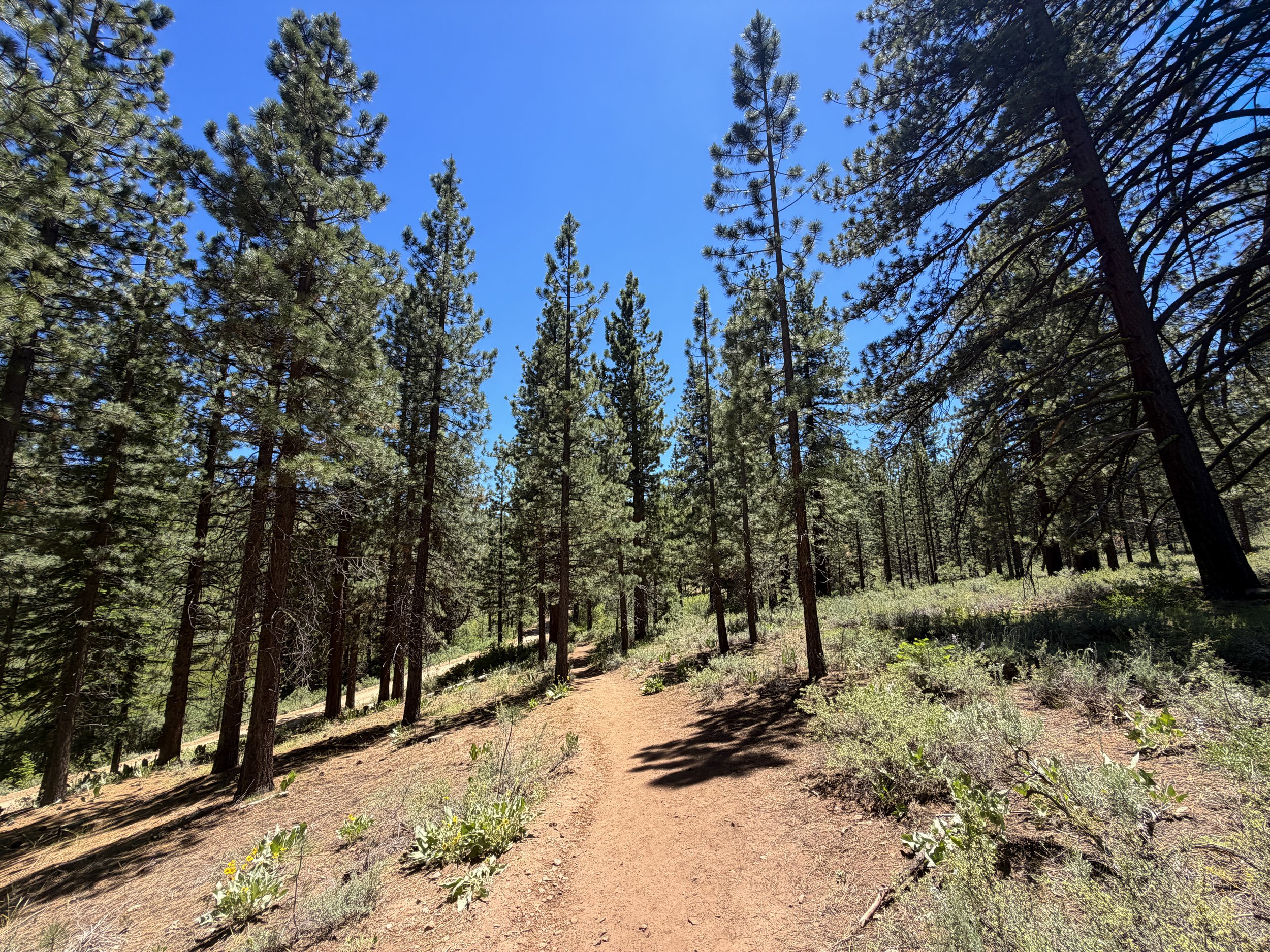 Spooner Lake Loop Trail Lake Tahoe Nevada