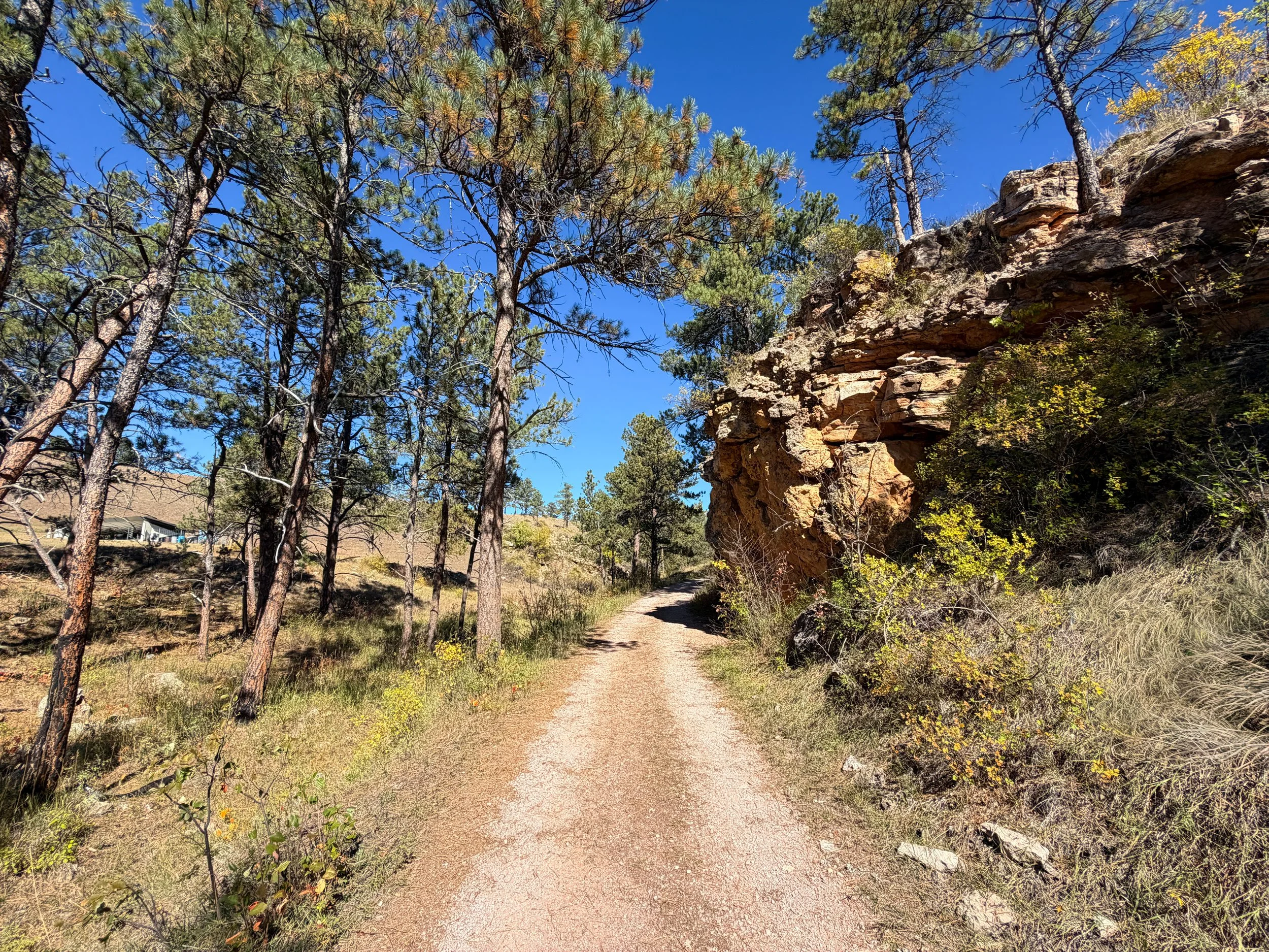 Wind Cave Canyon Hike Wind Cave National Park South Dakota