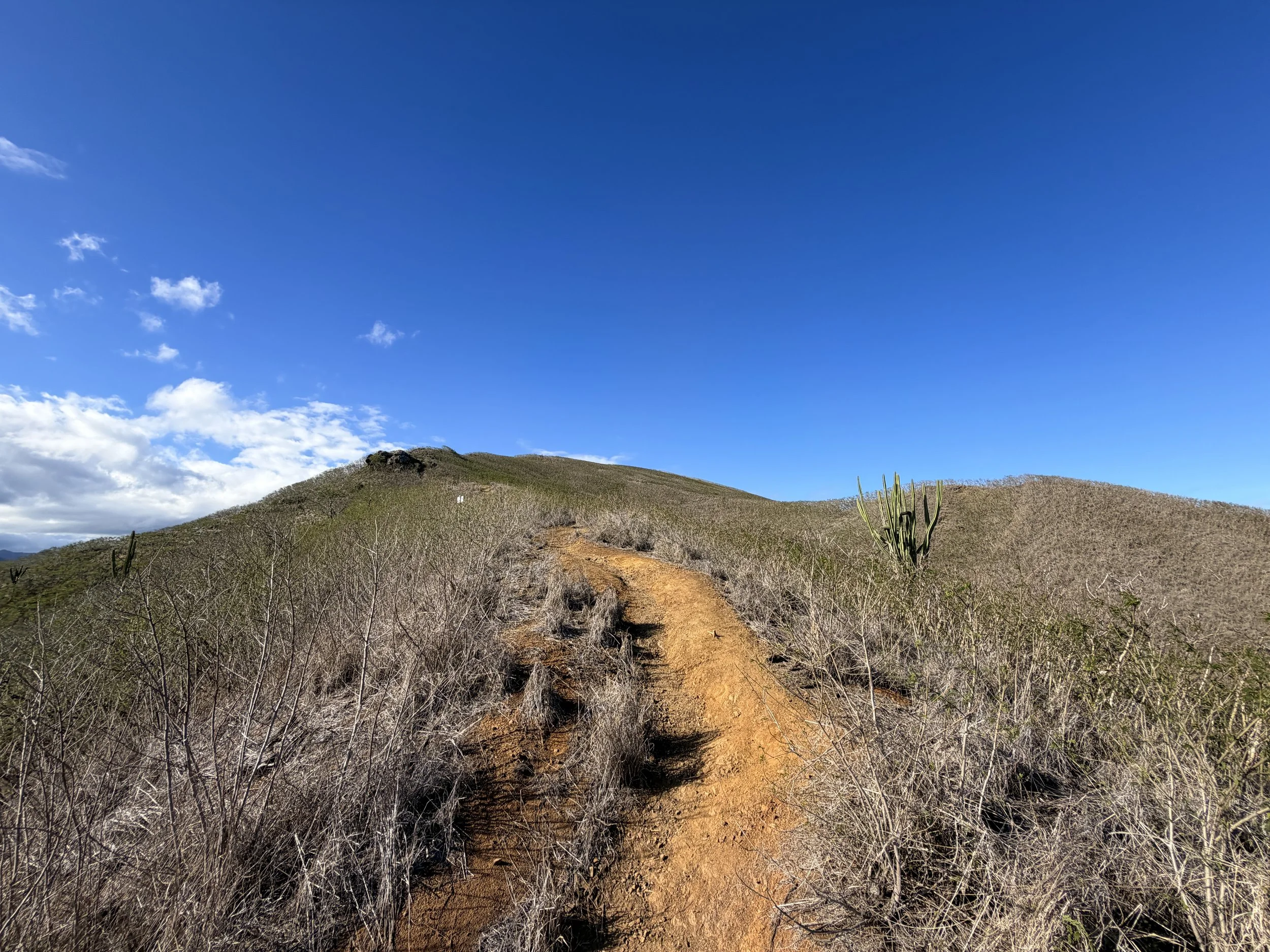 Back Way Lanikai Pillbox Hike Oahu Hawaii