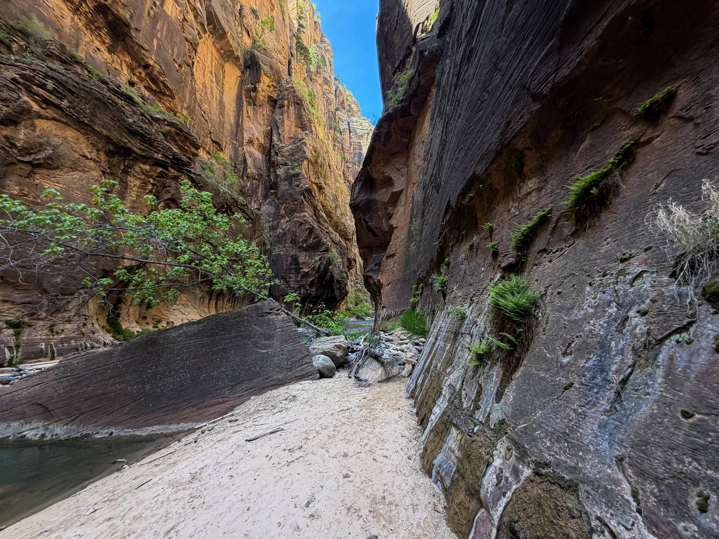 The Narrows Bottom-Up Hike to Big Springs Zion National Park Utah