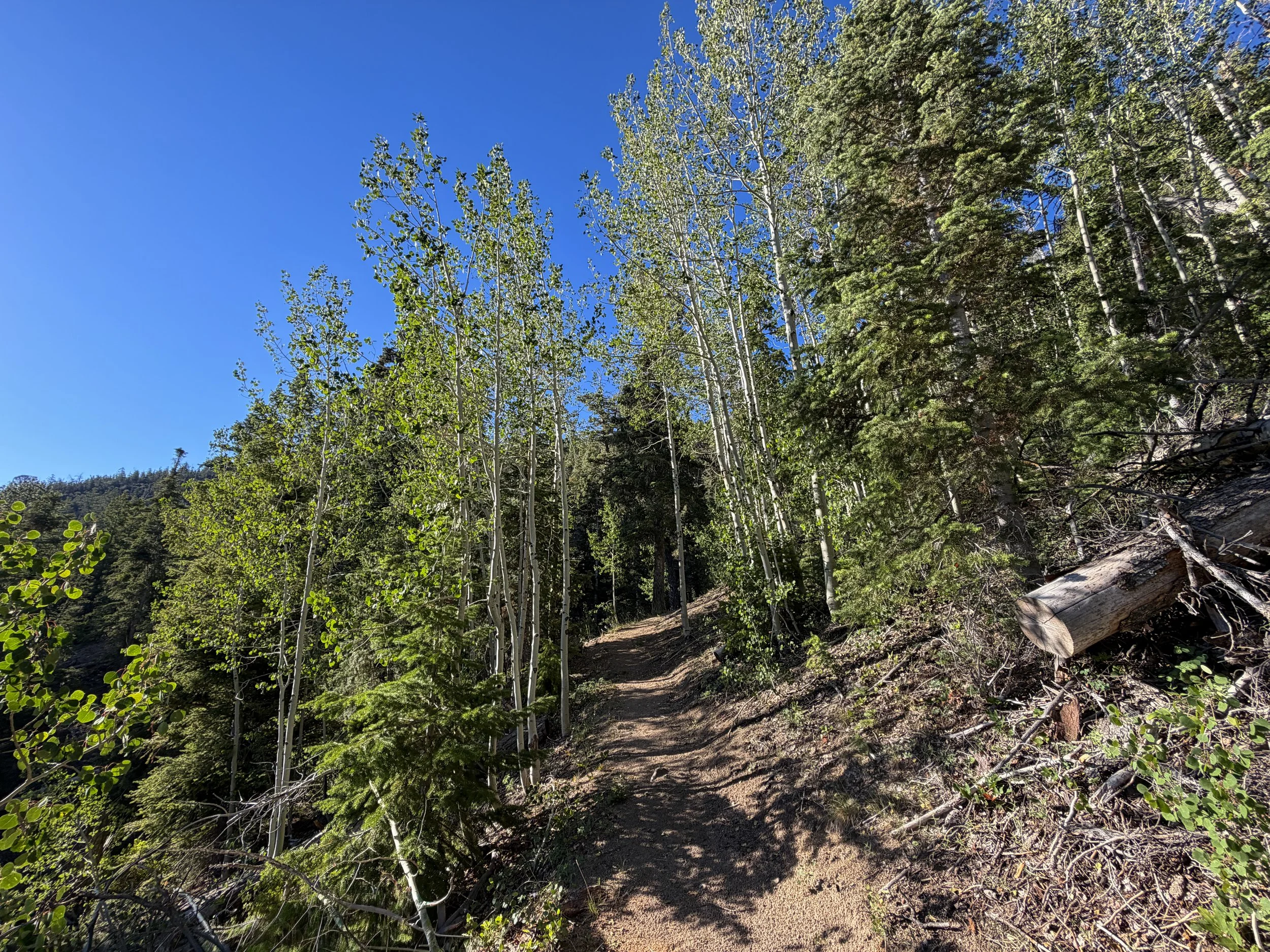 Snake Divide Trail Great Basin National Park Nevada