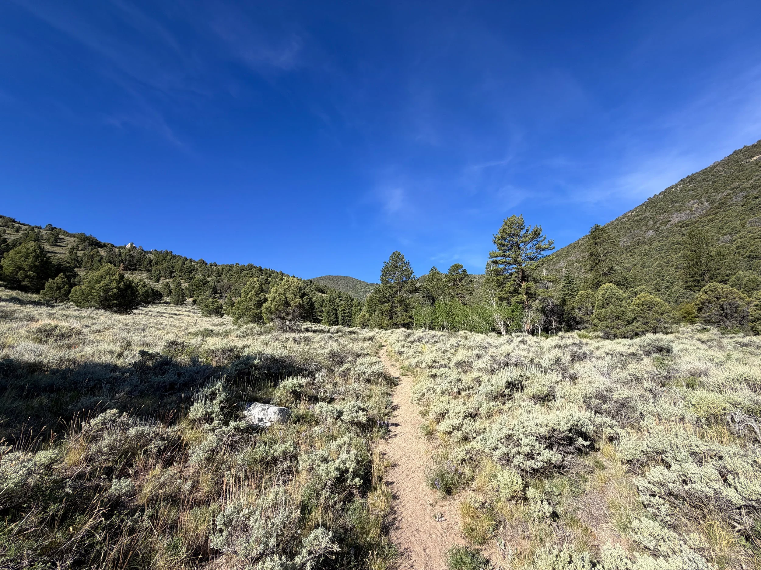 Pole Canyon Loop Trail Great Basin National Park Nevada
