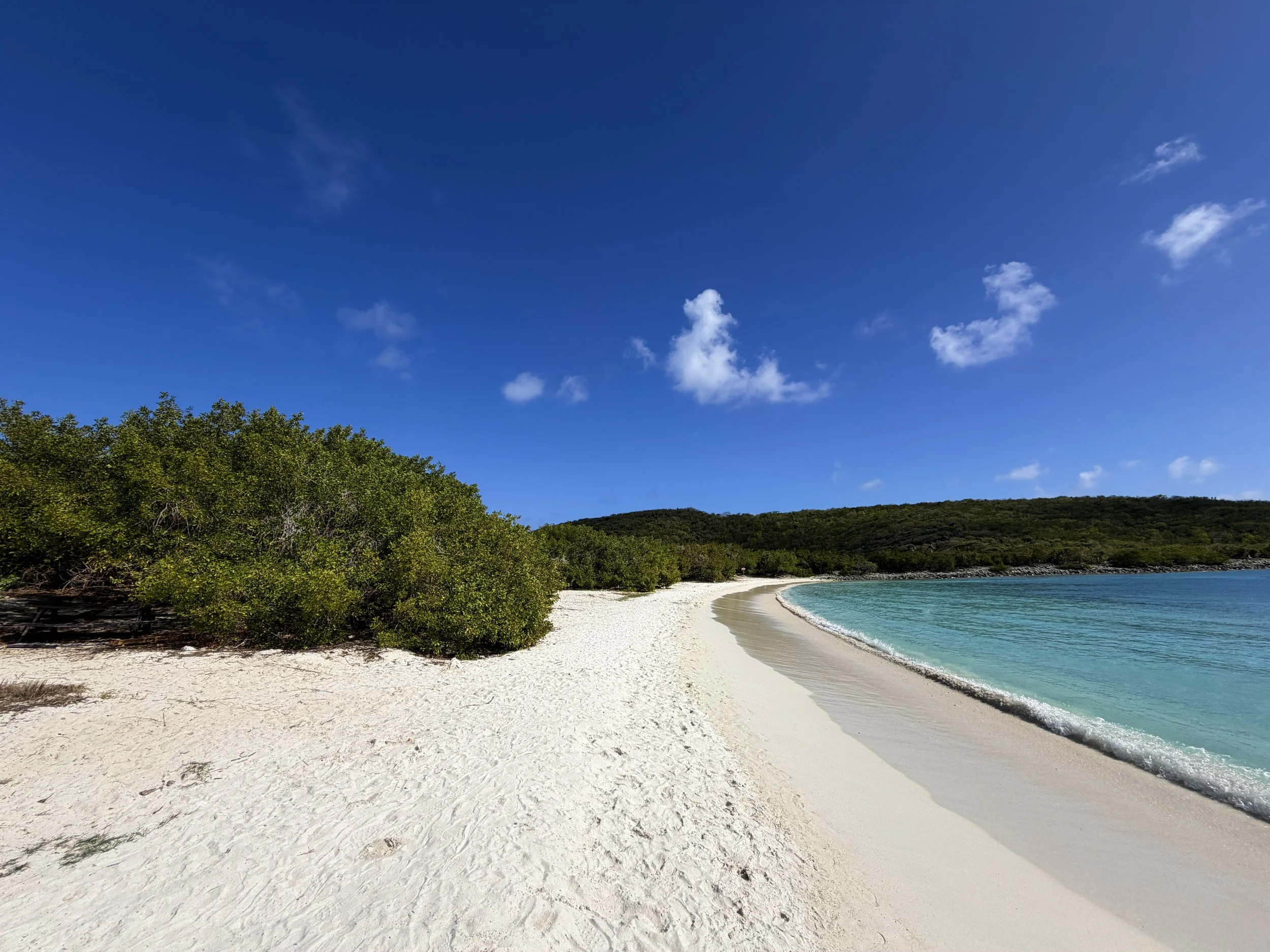 Salt Pond Bay to Drunk Bay Trail Virgin Islands National Park