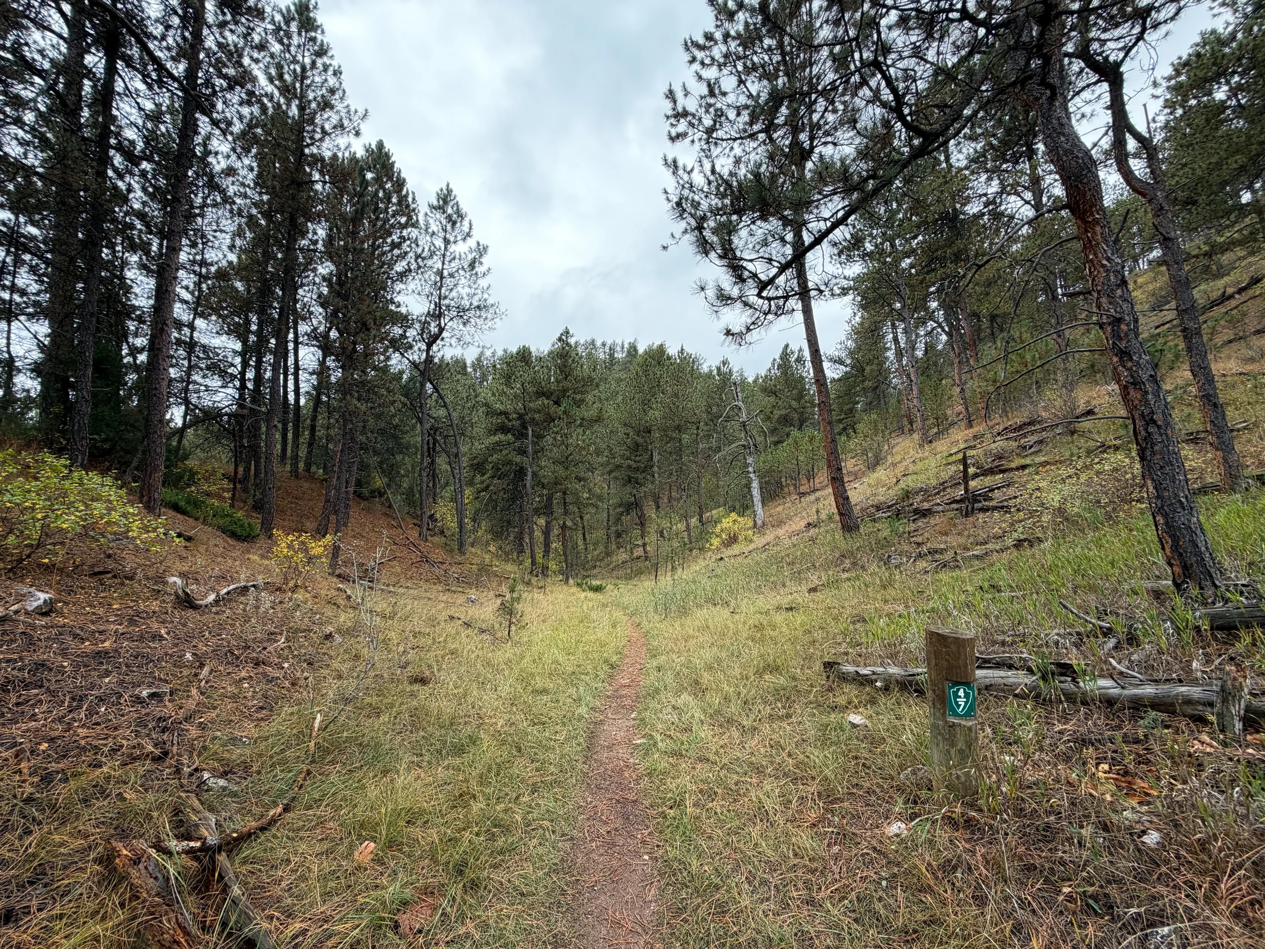 Highland Creek Trail to Lookout Point Wind Cave National Park South Dakota