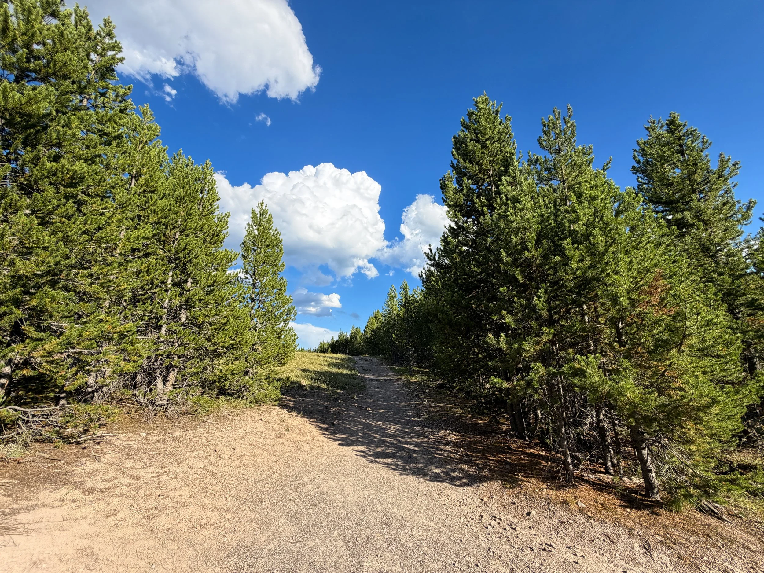Artemisia Trail Yellowstone National Park Wyoming