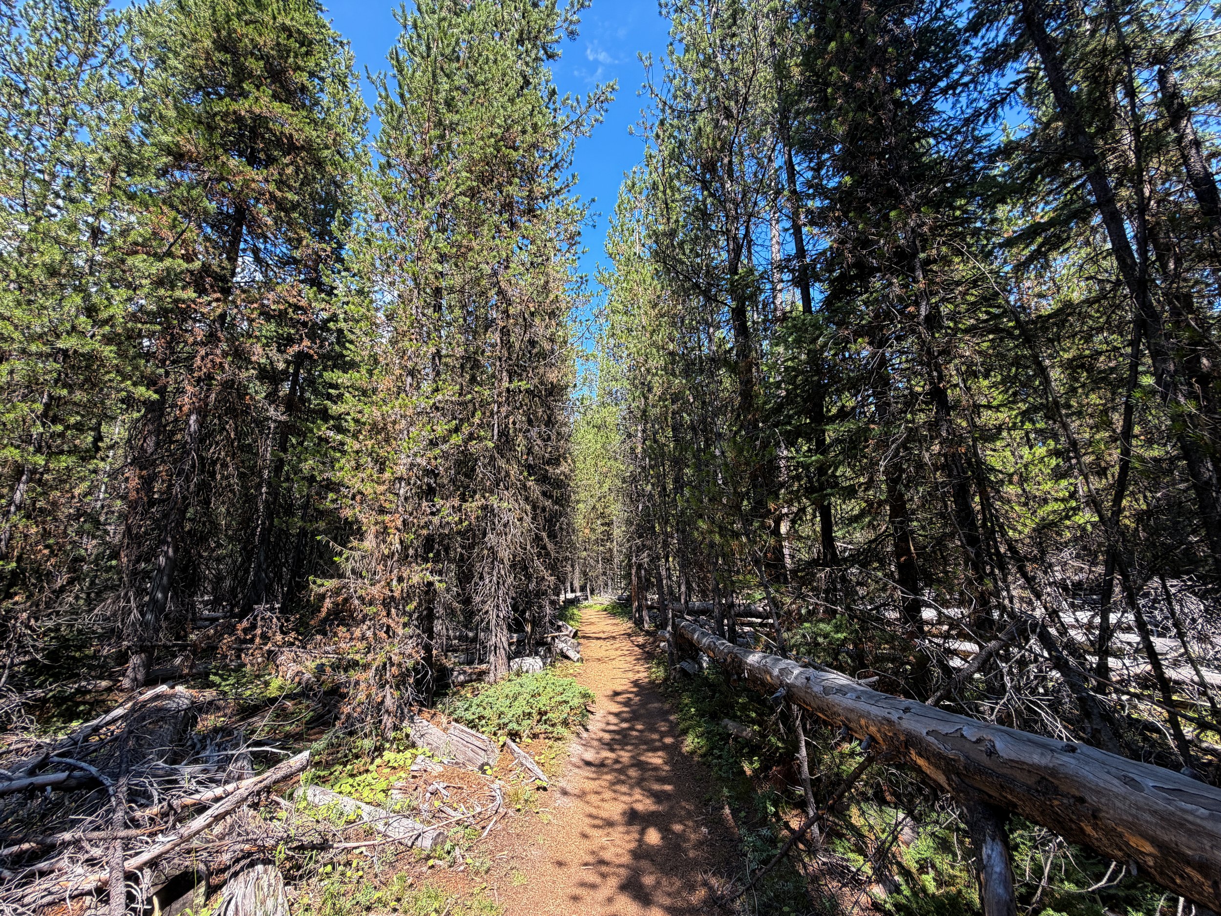 Storm Point Trail Yellowstone National Park Wyoming