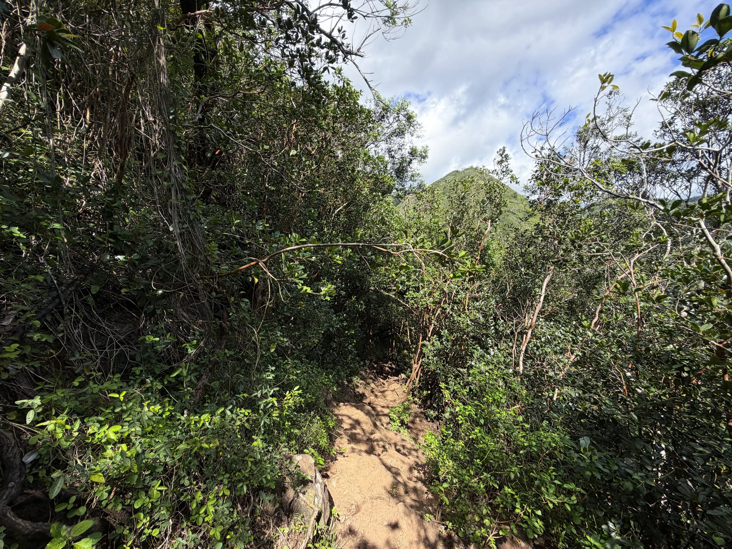 Waimano Pools Hike Oahu Hawaii
