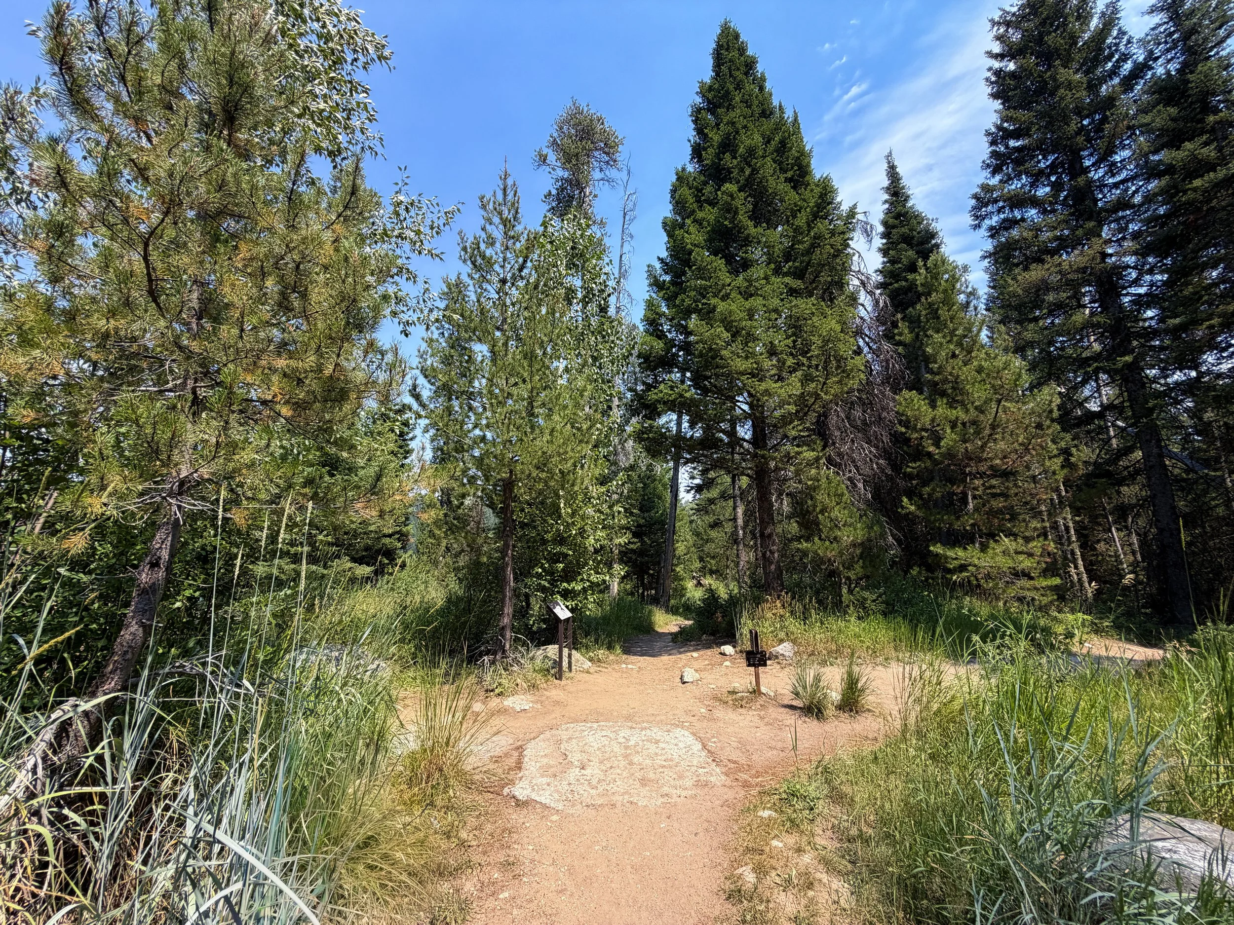 Phelps Lake Loop Trail Grand Teton National Park Wyoming