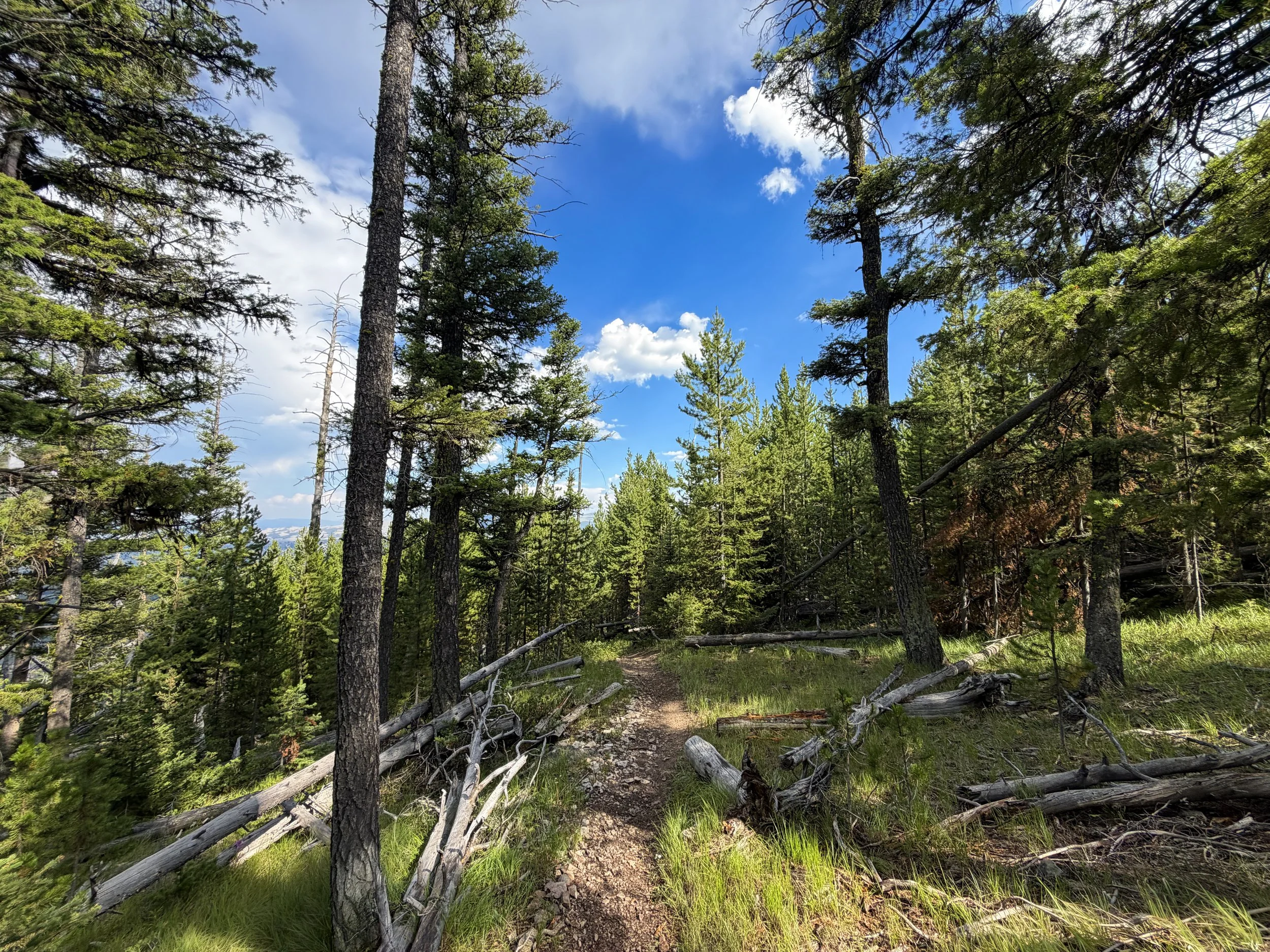 Bunsen Peak Hike Yellowstone National Park Wyoming