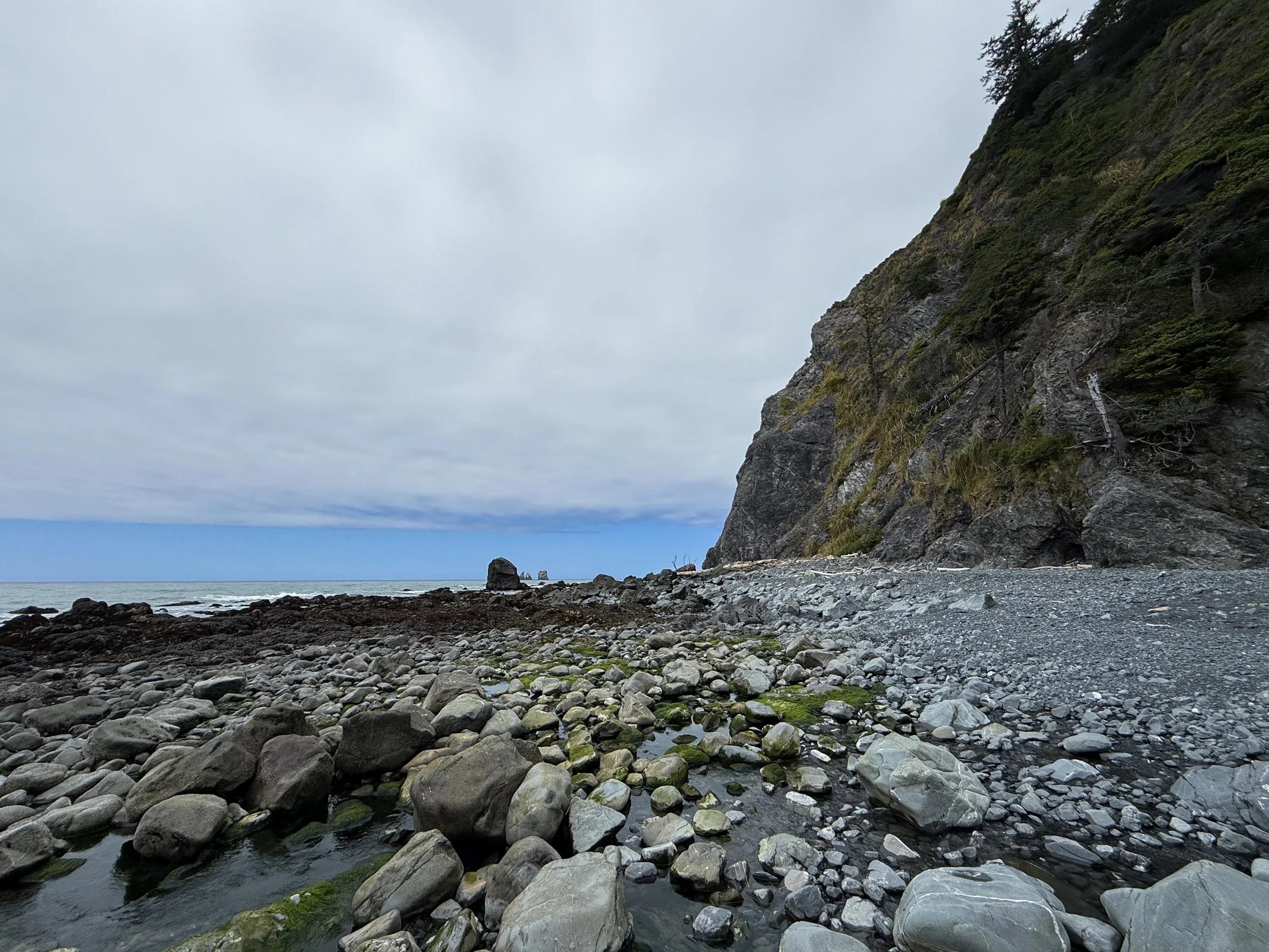 Damnation Creek Beach Del Norte Coast Redwoods State Park California
