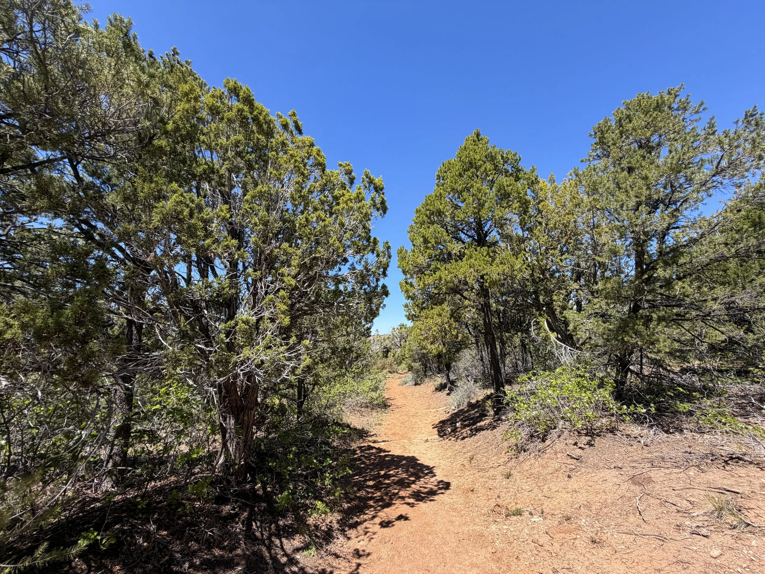 Cable Mountain Hike Zion National Park Utah