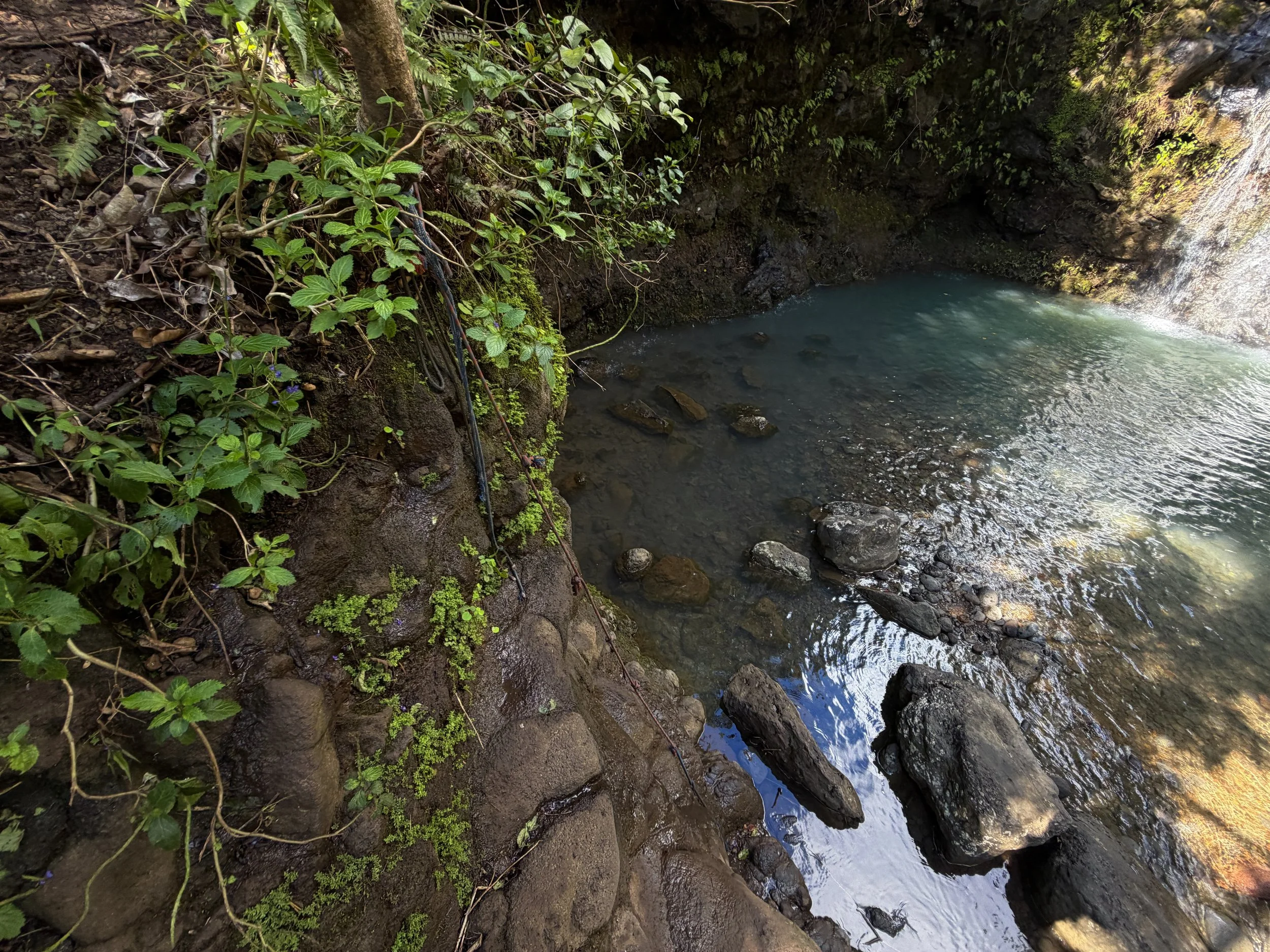 Waimano Falls Trail Ropes Oahu Hawaii