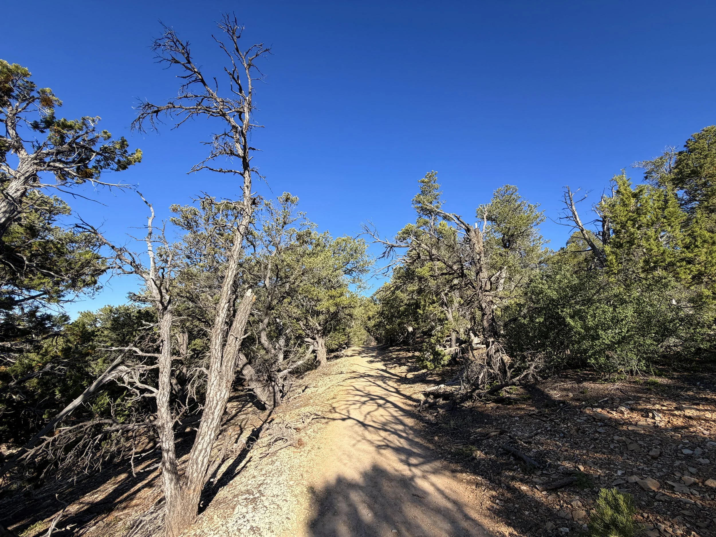 East Mesa Hike Zion National Park Utah