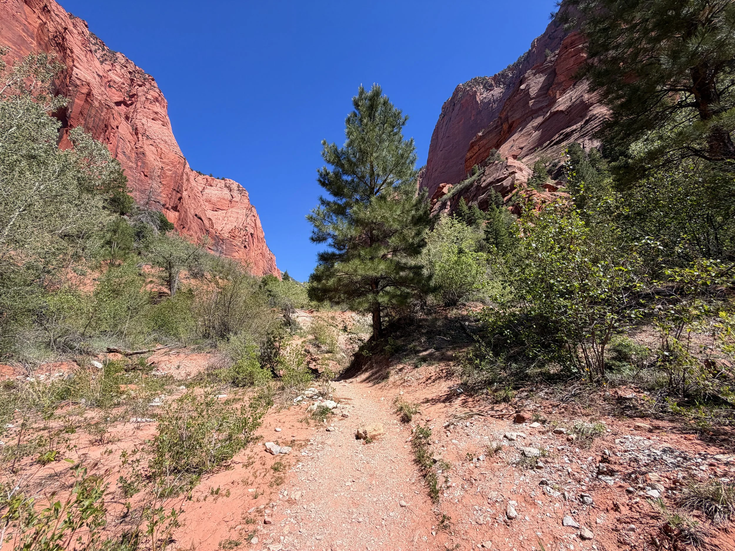 Taylor Creek Trail to Double Arch Alcove Zion National Park Utah