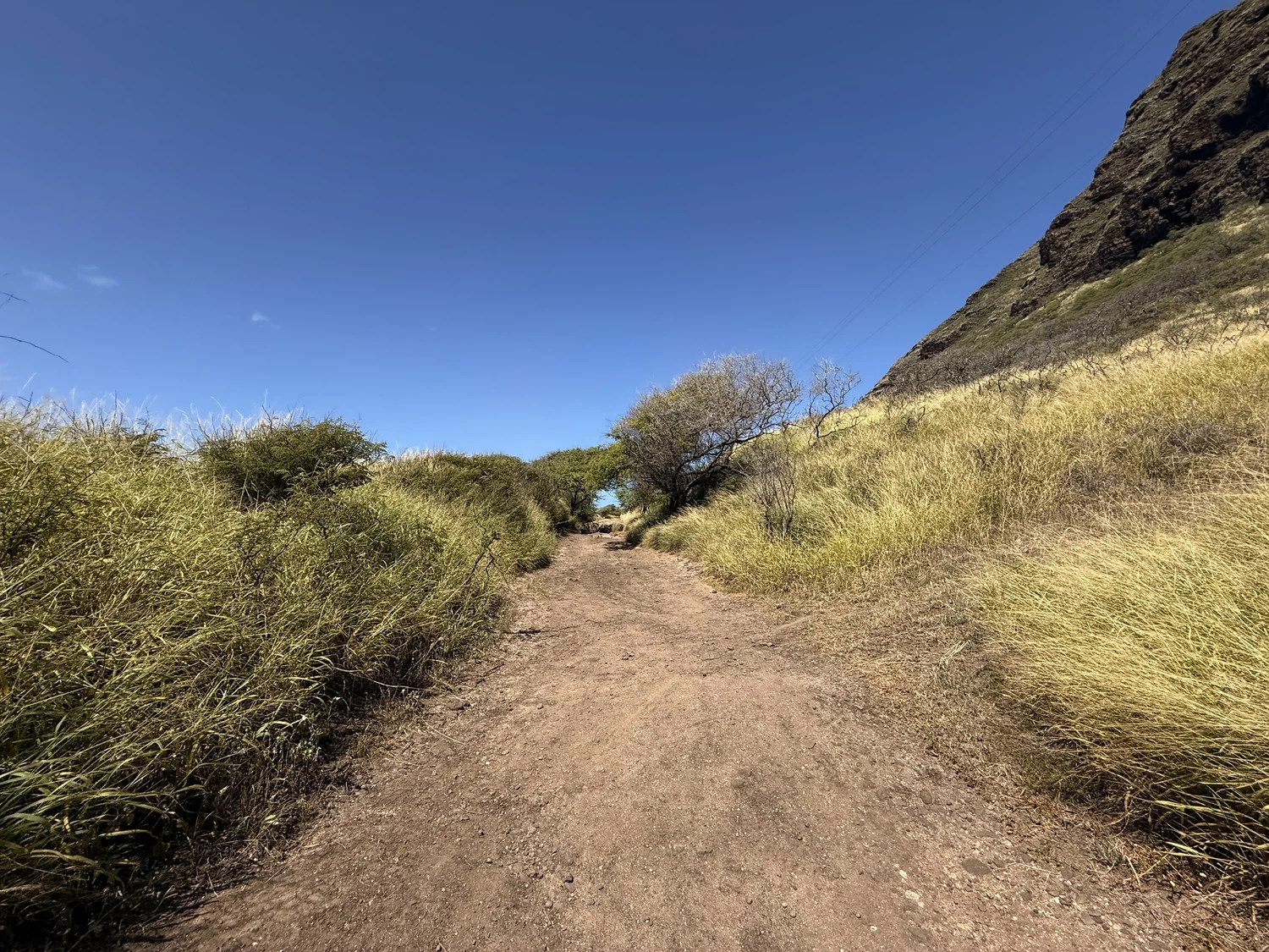 Hiking the Kaʻena Point Trail & Pillbox on the West Side of Oʻahu ...