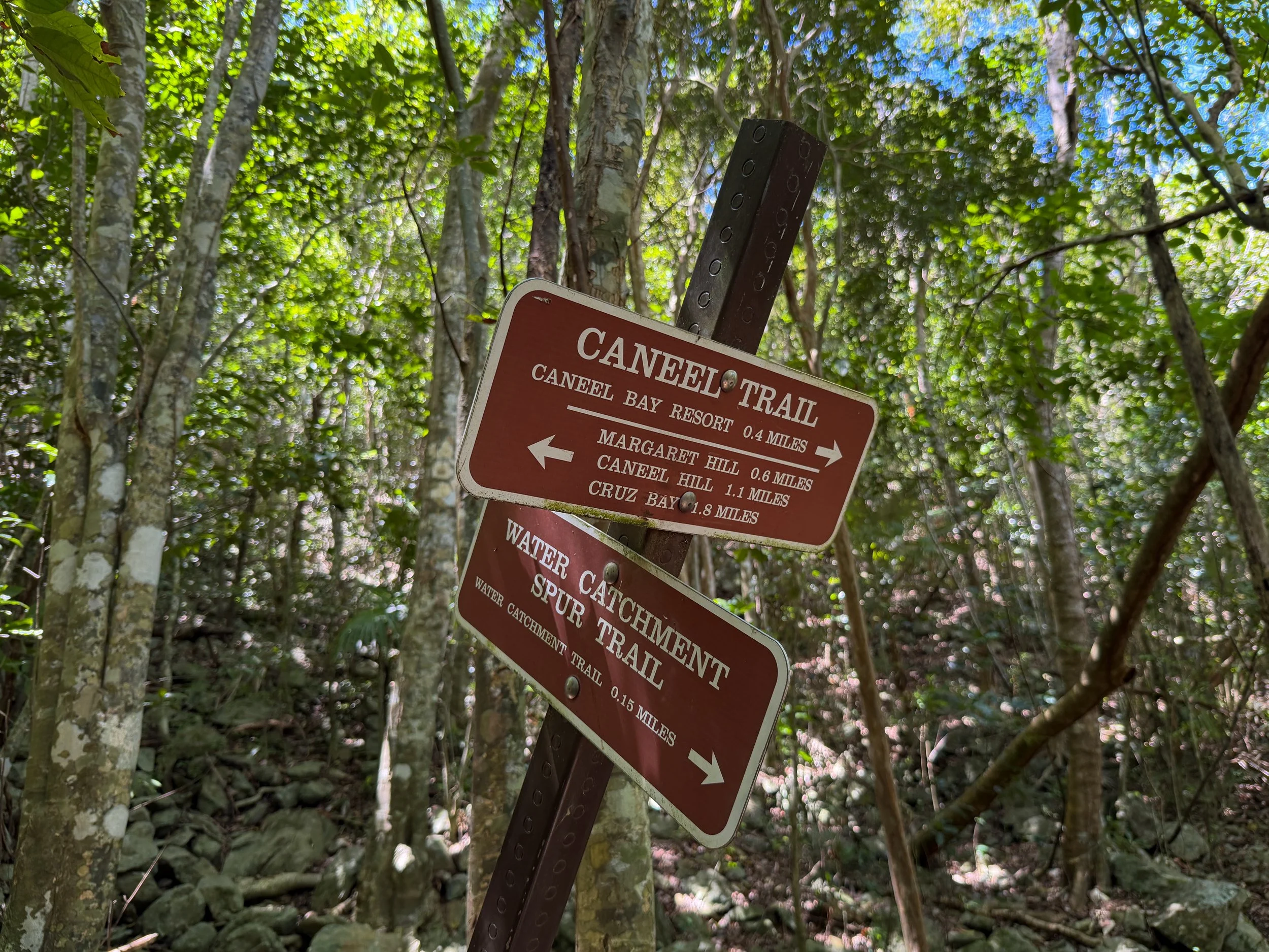 Caneel Hill Trail Virgin Islands National Park