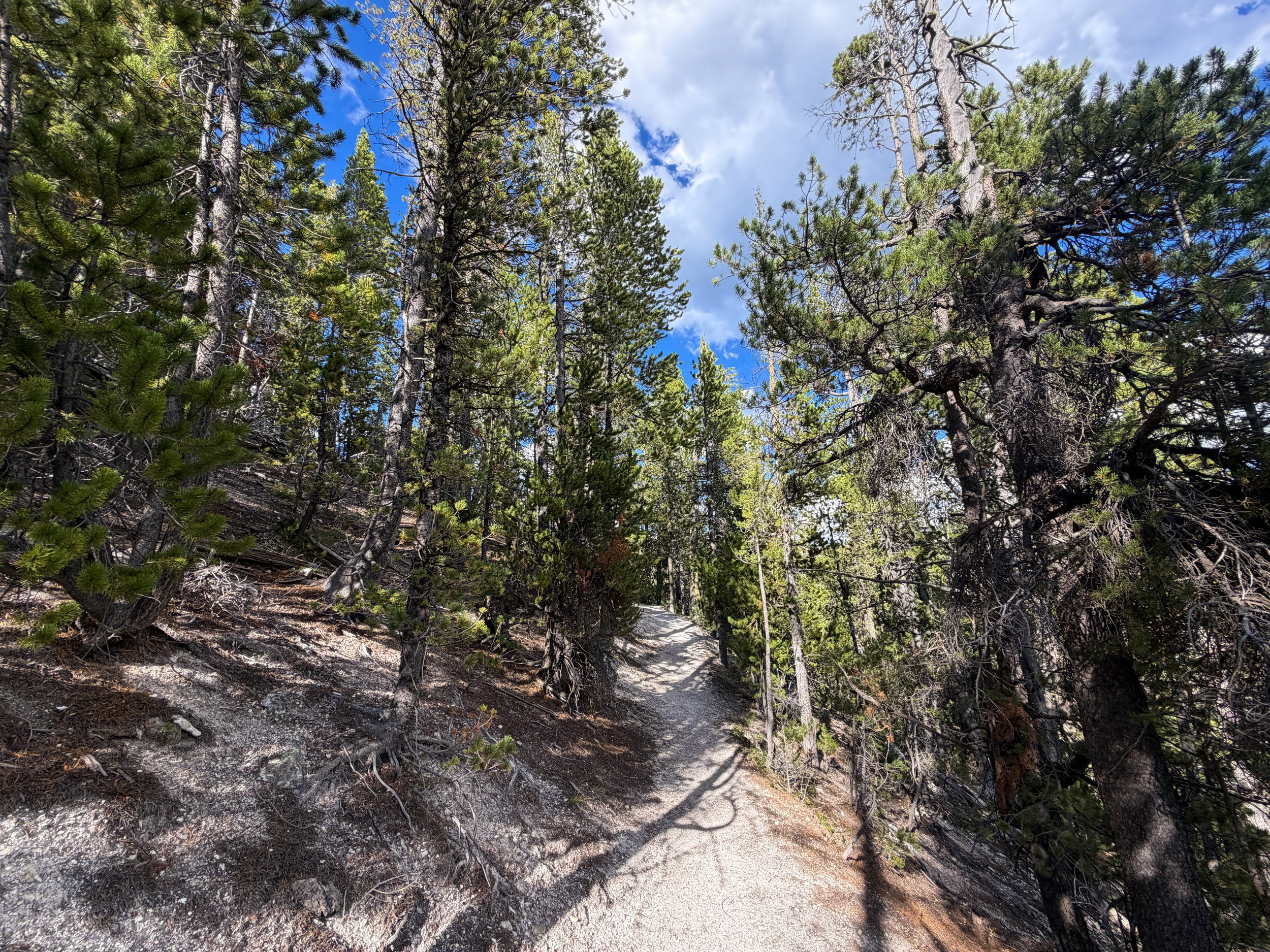 North Rim Trail Yellowstone National Park Wyoming