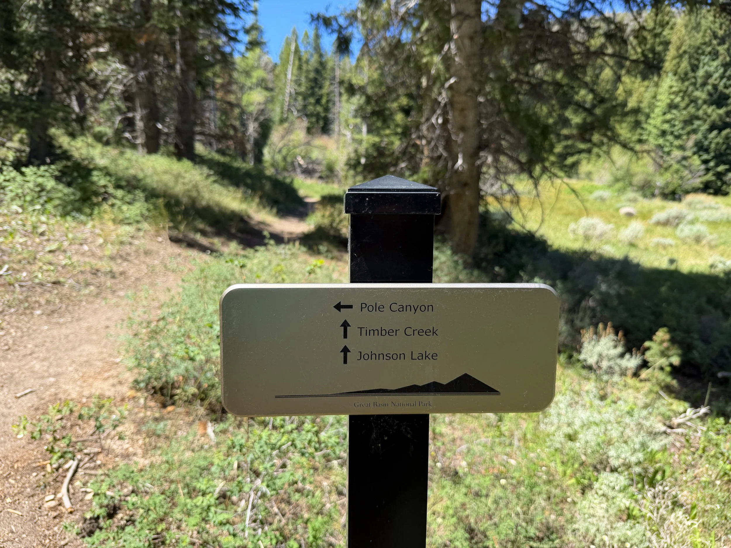 Timber Creek Loop Trail Great Basin National Park Nevada