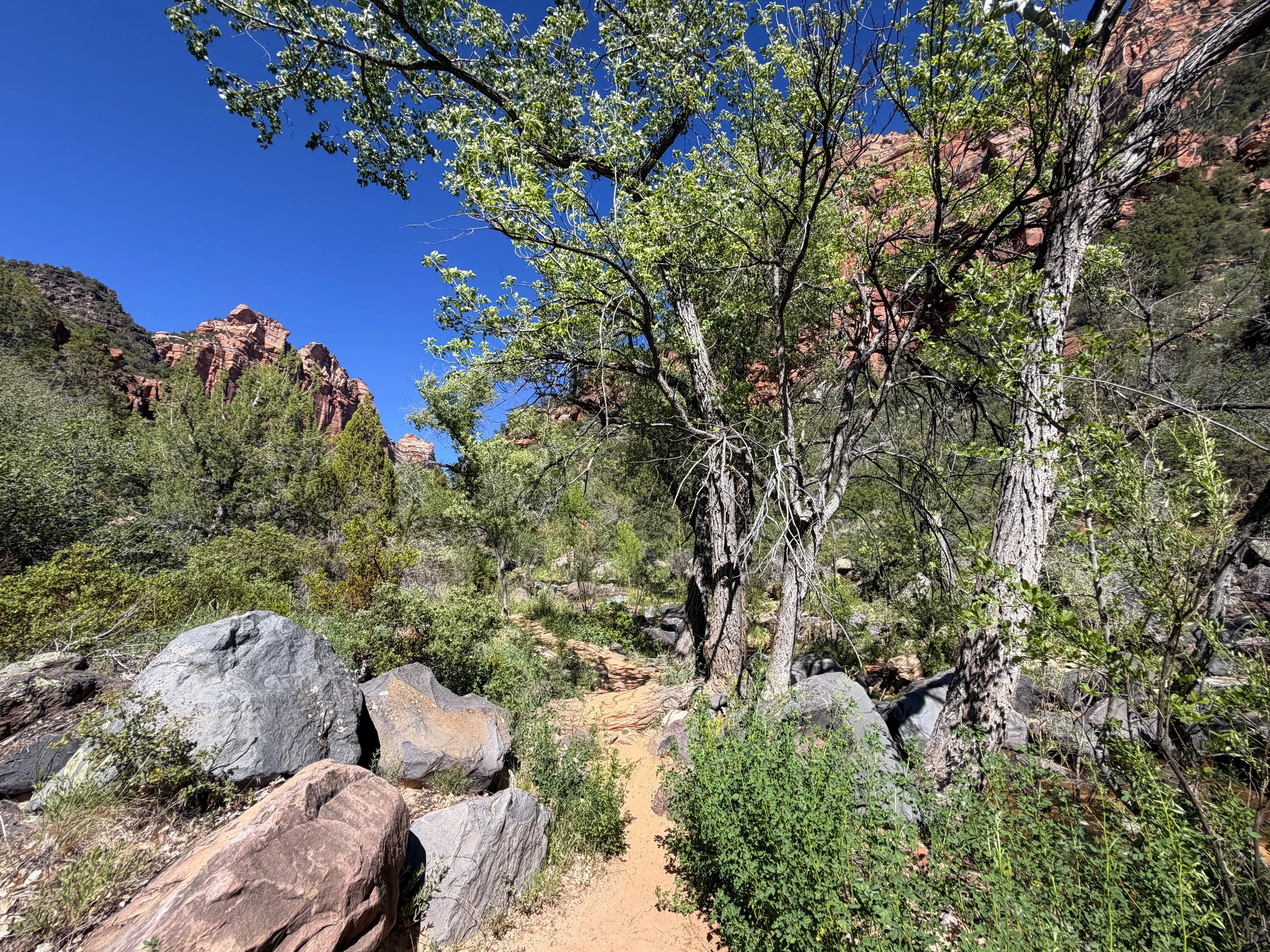 Subway Hike Zion National Park Utah