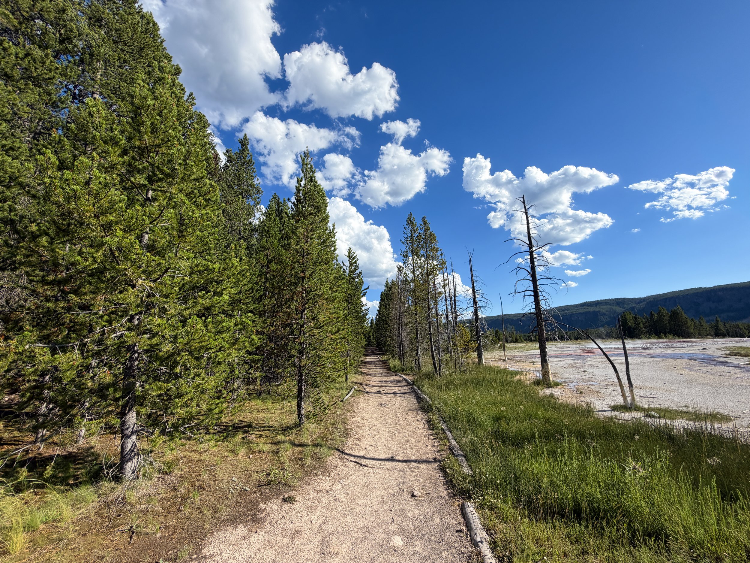 Artemisia Trail to Morning Glory Pool Yellowstone National Park Wyoming