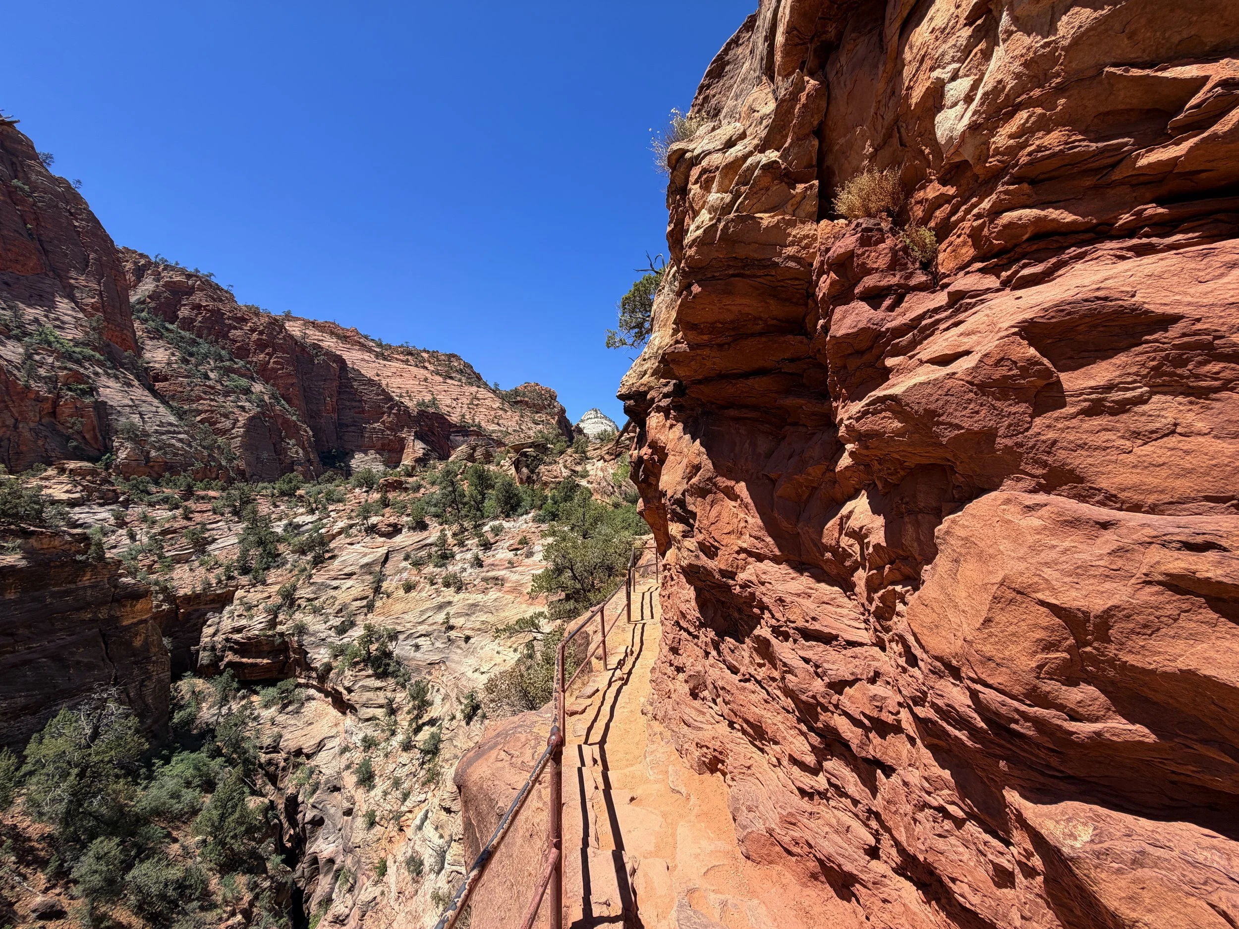 Canyon Overlook Hike Zion National Park Utah