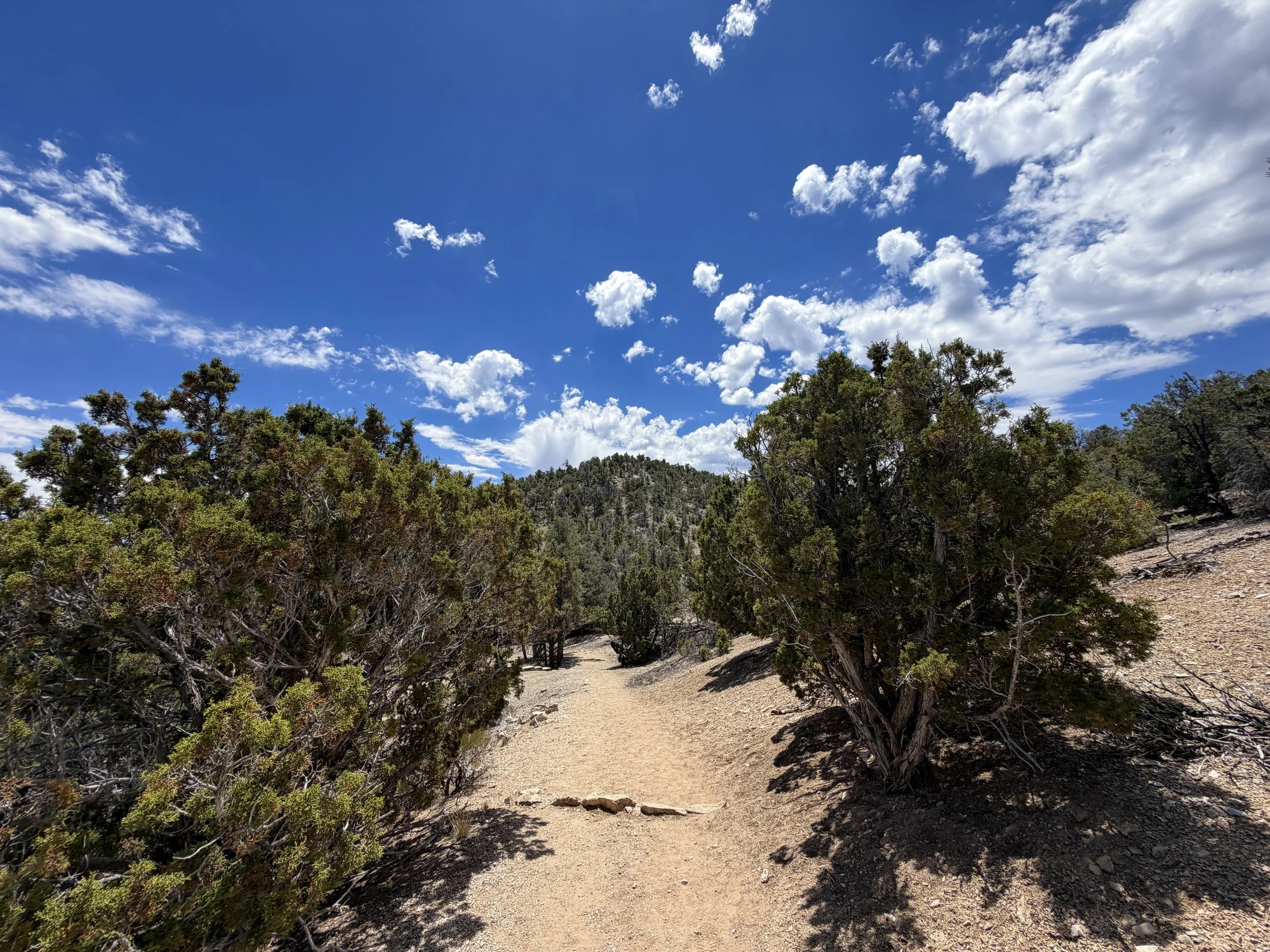 Mountain View Nature Trail Great Basin National Park Nevada