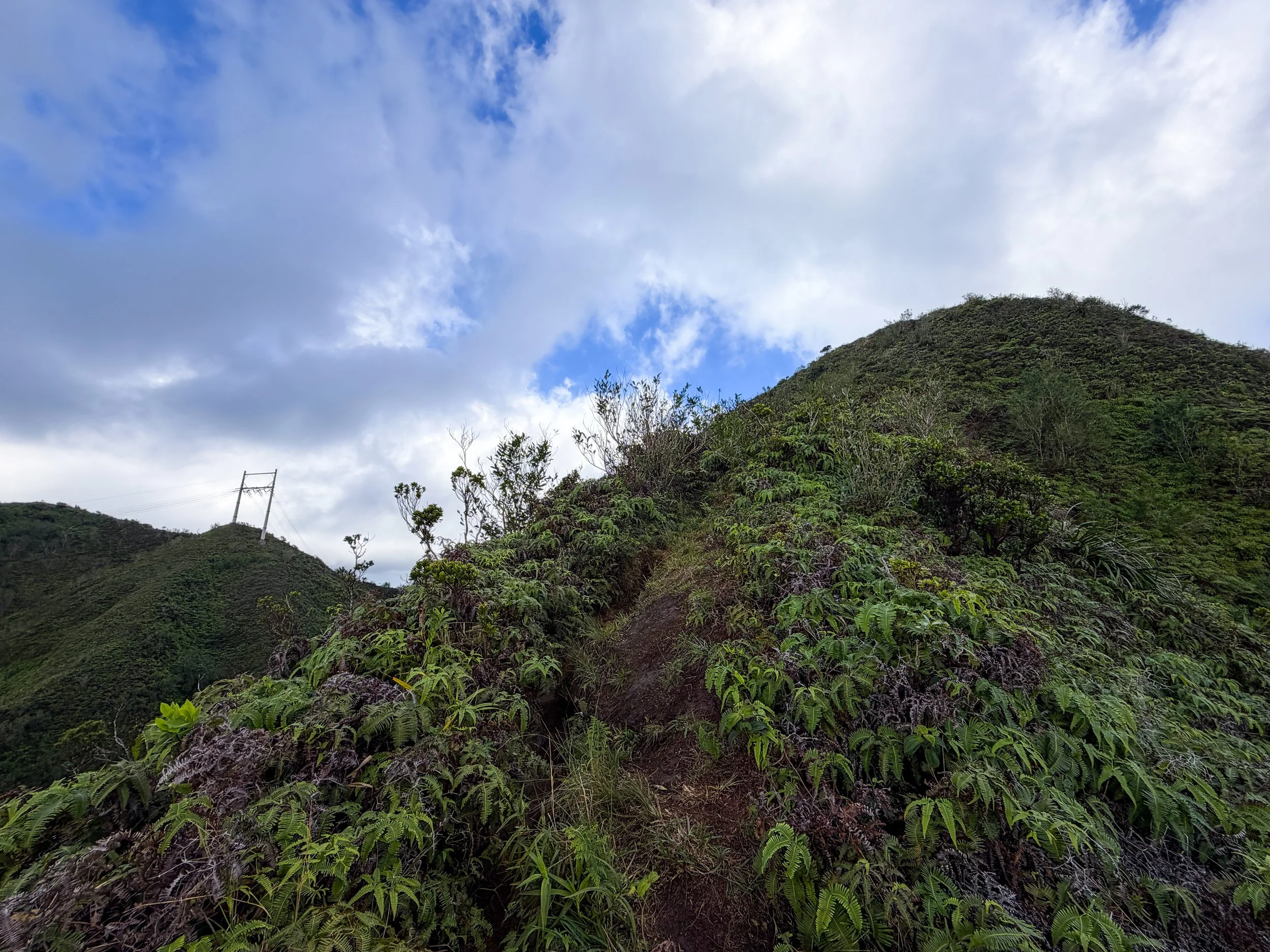 Kaau Crater Trail Oahu Hawaii