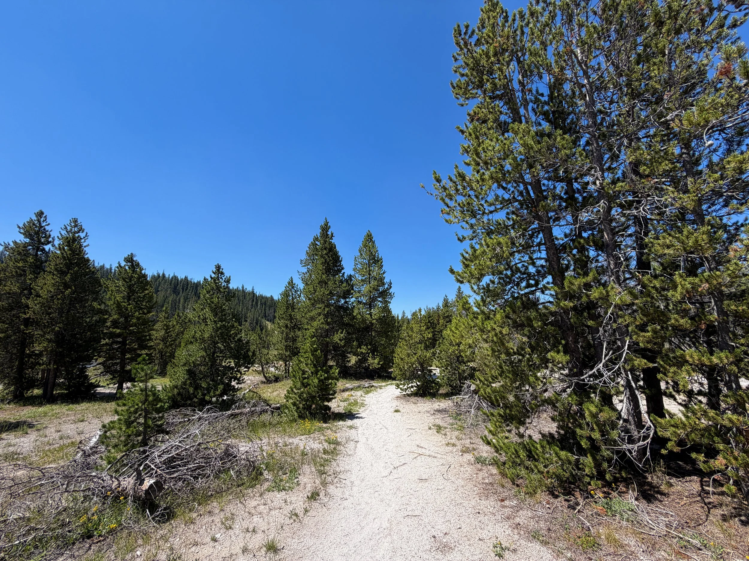 Lone Star Geyser Trail Yellowstone National Park Wyoming
