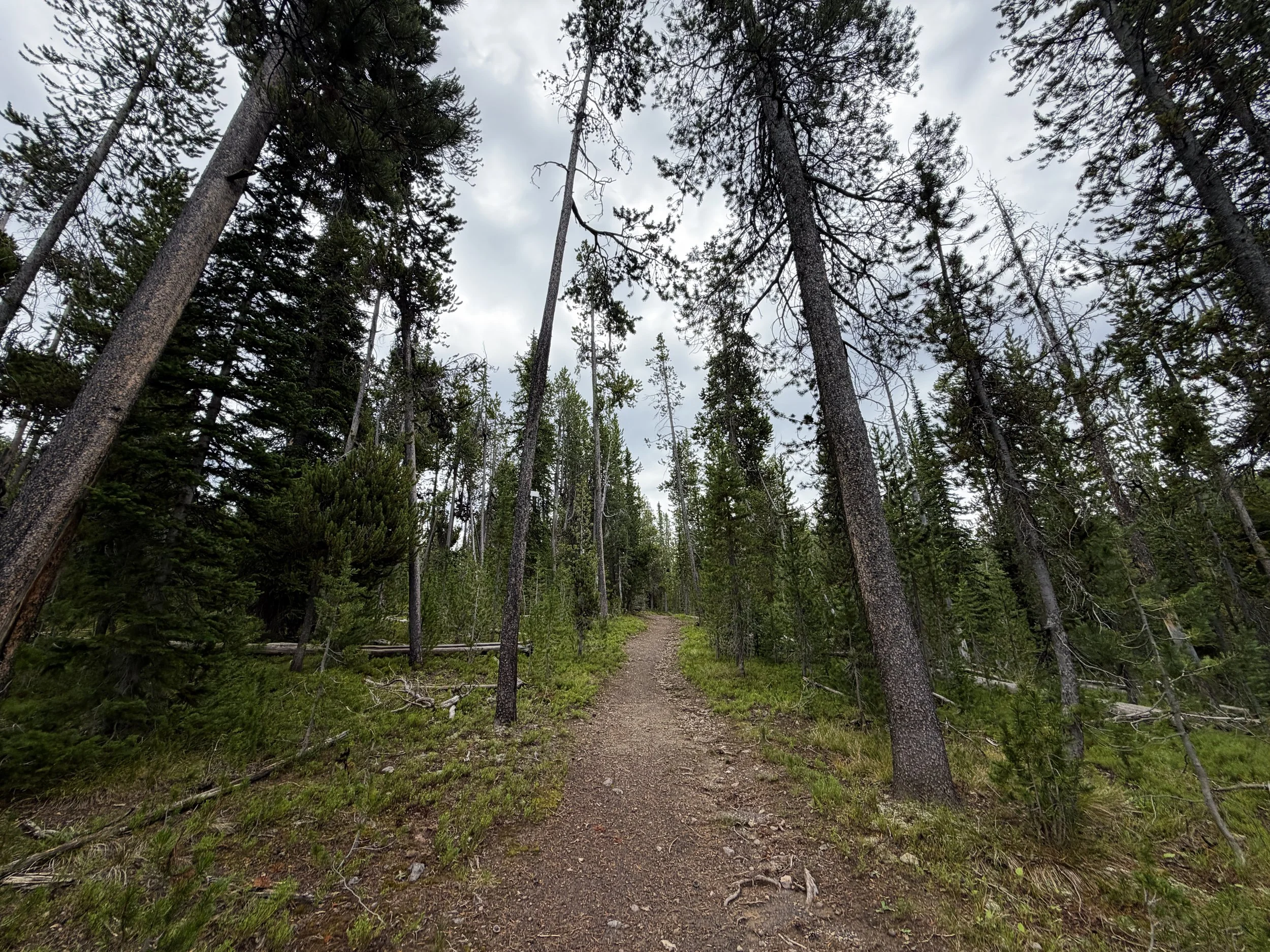 Divide Trail Yellowstone National Park Wyoming