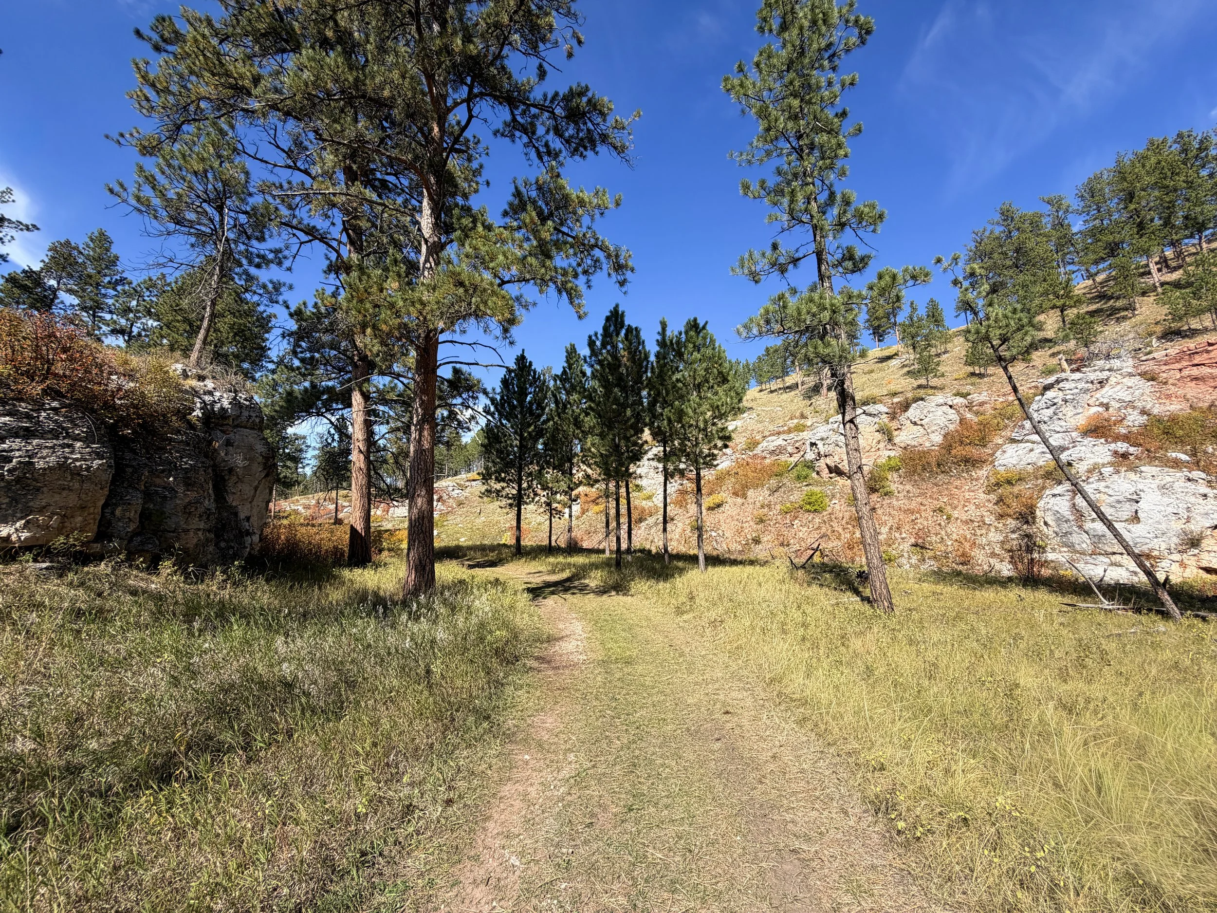 Canyons Hike Jewel Cave National Monument Black Hills South Dakota