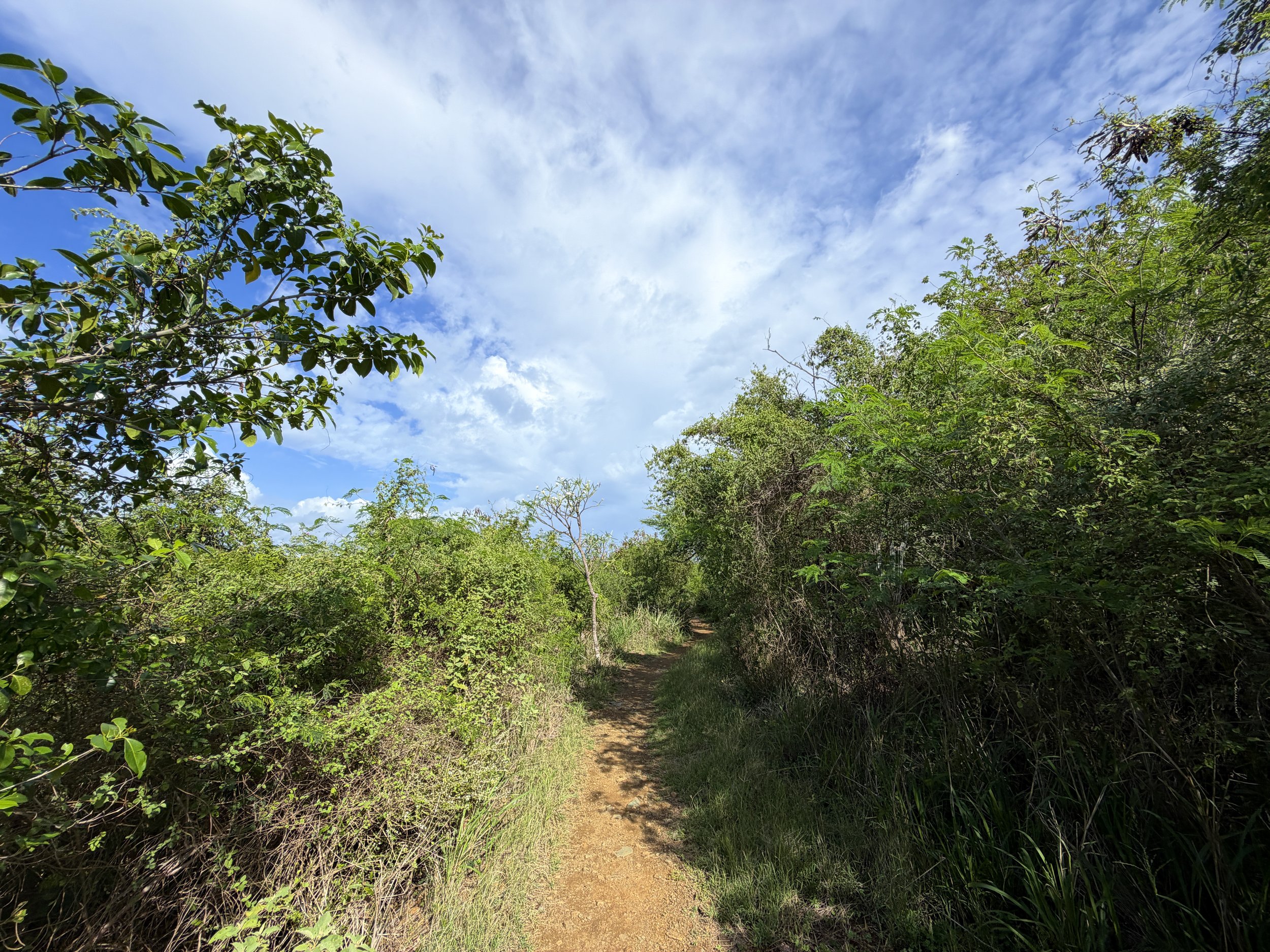 Lind Point Hike Virgin Islands National Park