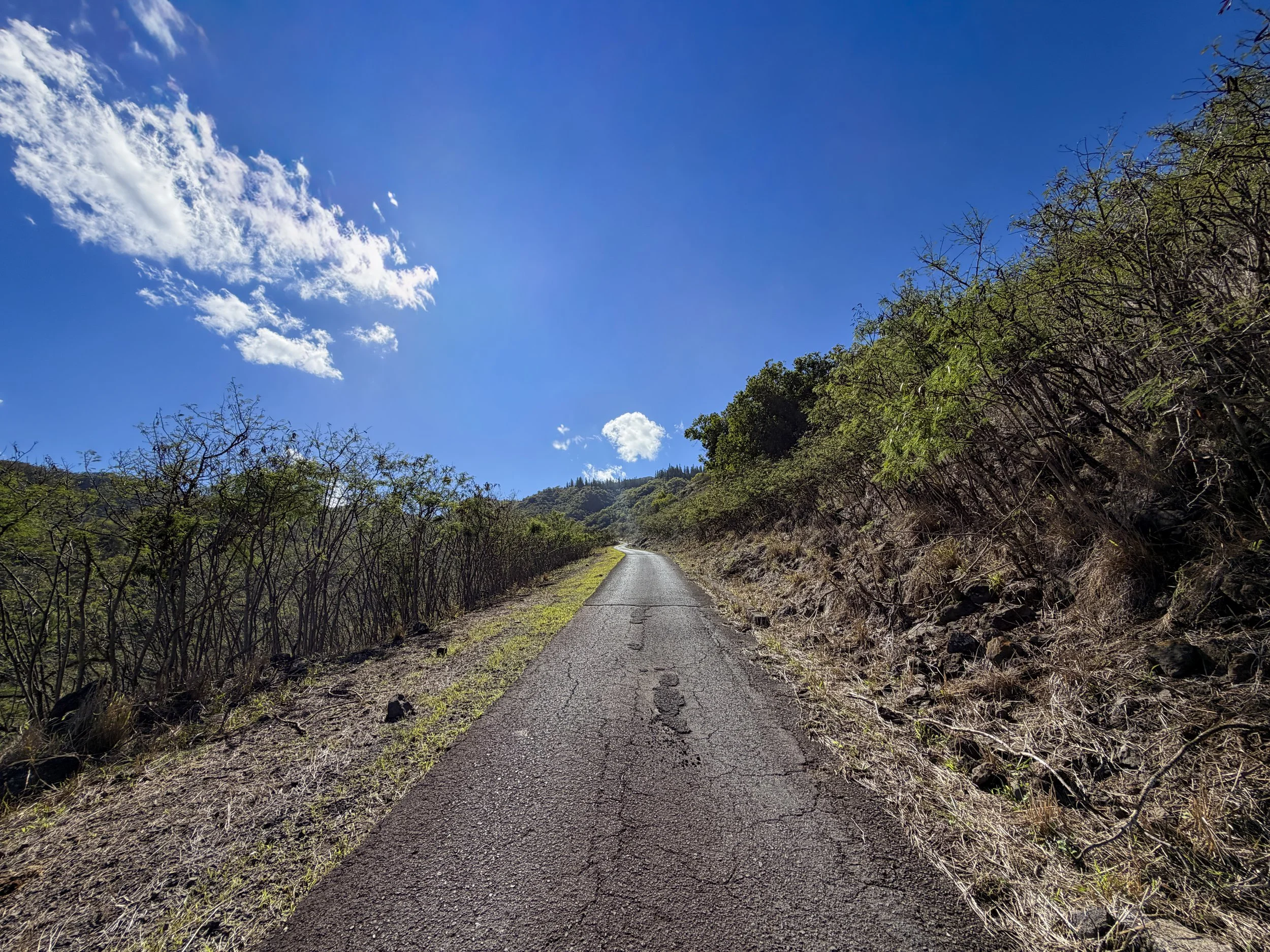 Mokuleia Forest Reserve Access Road Oahu Hawaii