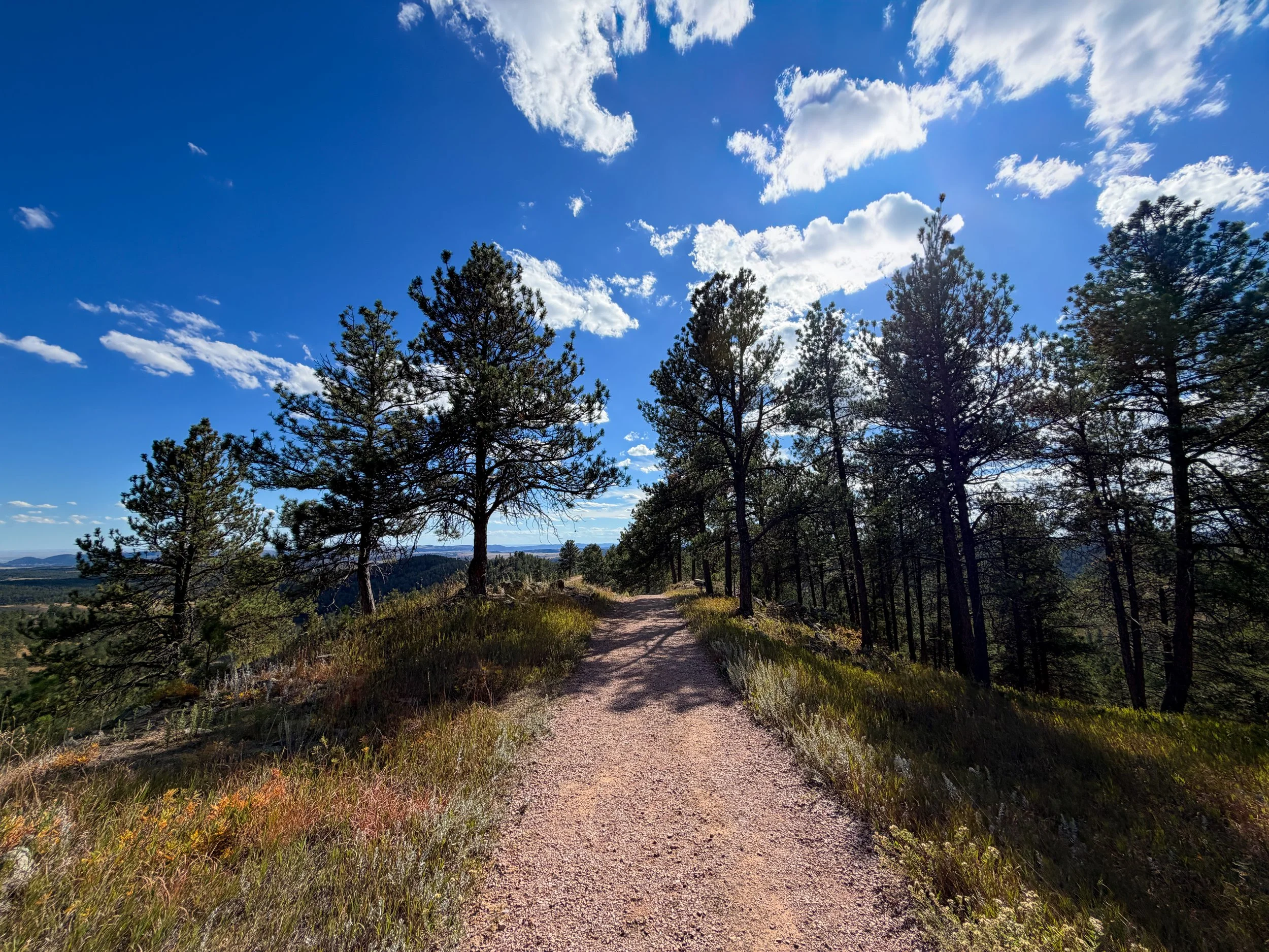 Rankin Ridge Trail Wind Cave National Park South Dakota