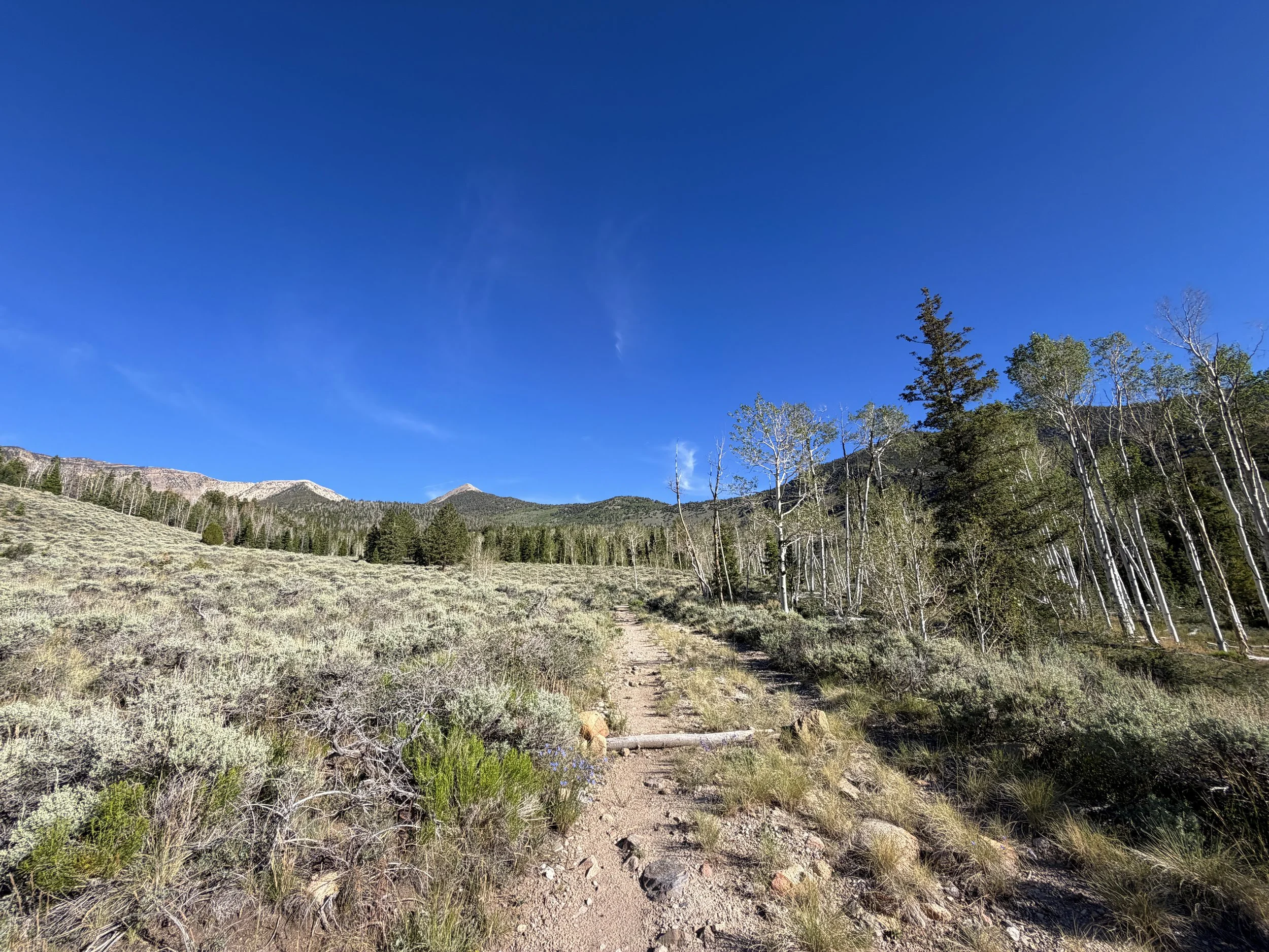 Johnson Lake Trail Great Basin National Park Nevada