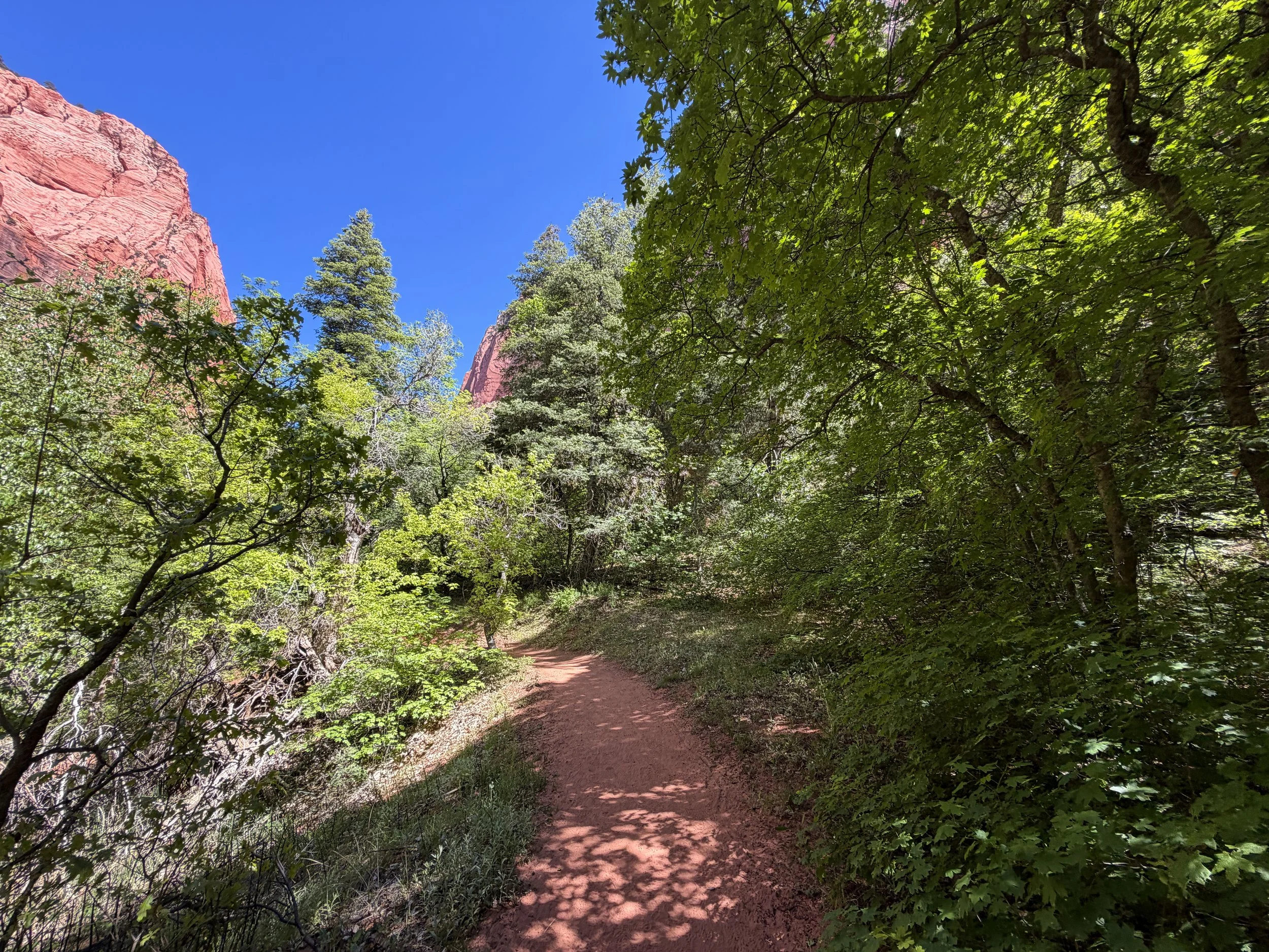 Taylor Creek Trail Zion National Park Utah