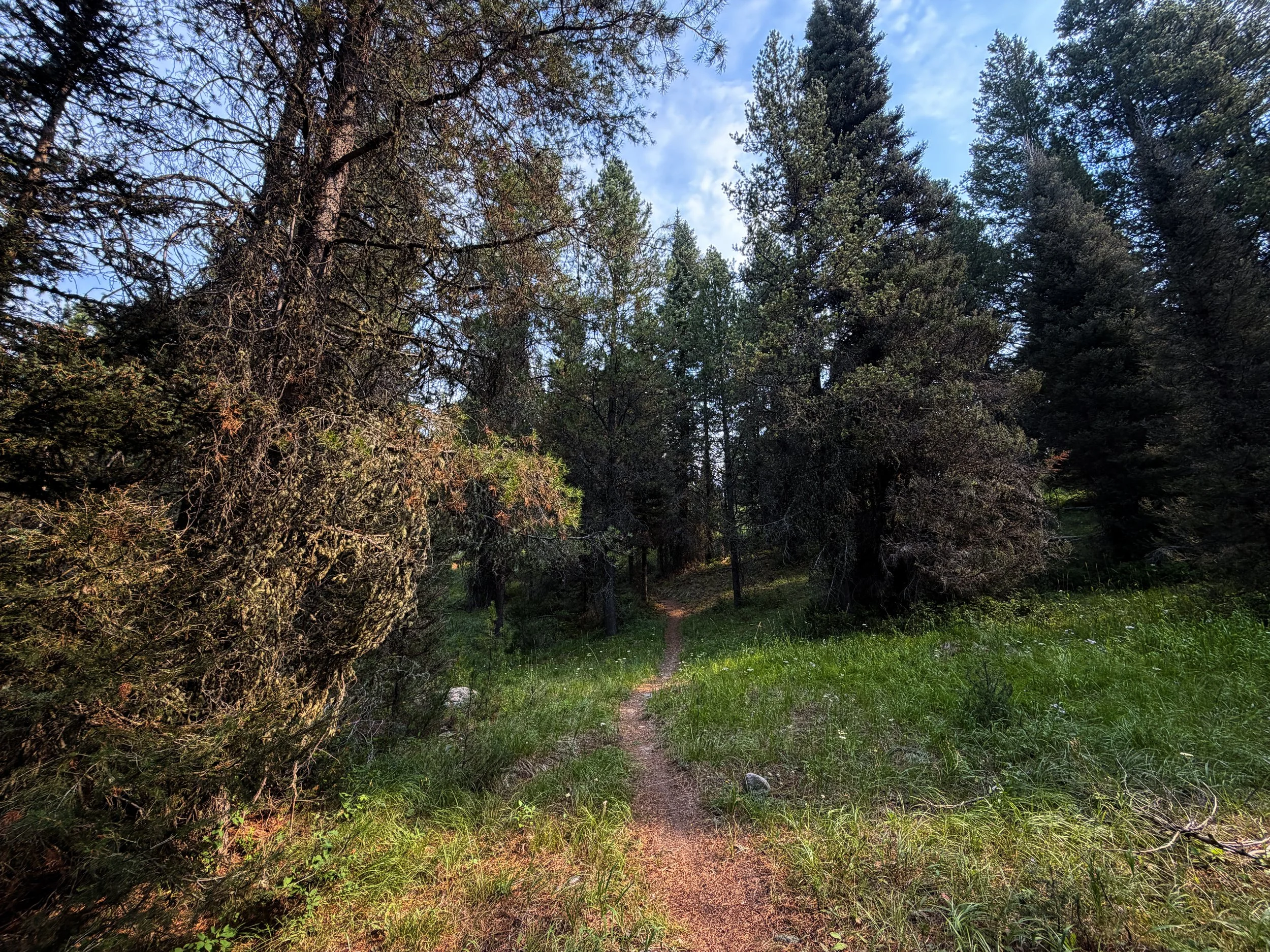 Boulder–Aspen Ridge Loop Trail Grand Teton National Park Wyoming