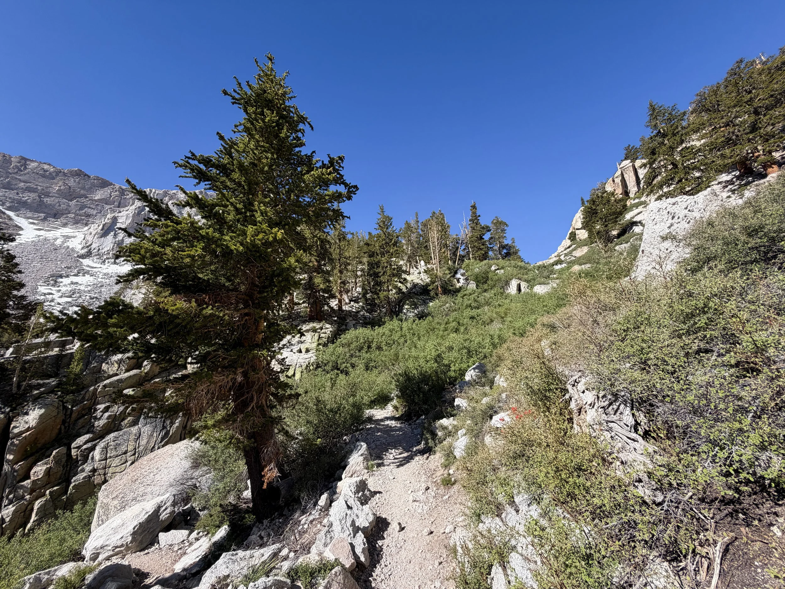 Mt. Whitney Trail Lone Pine California