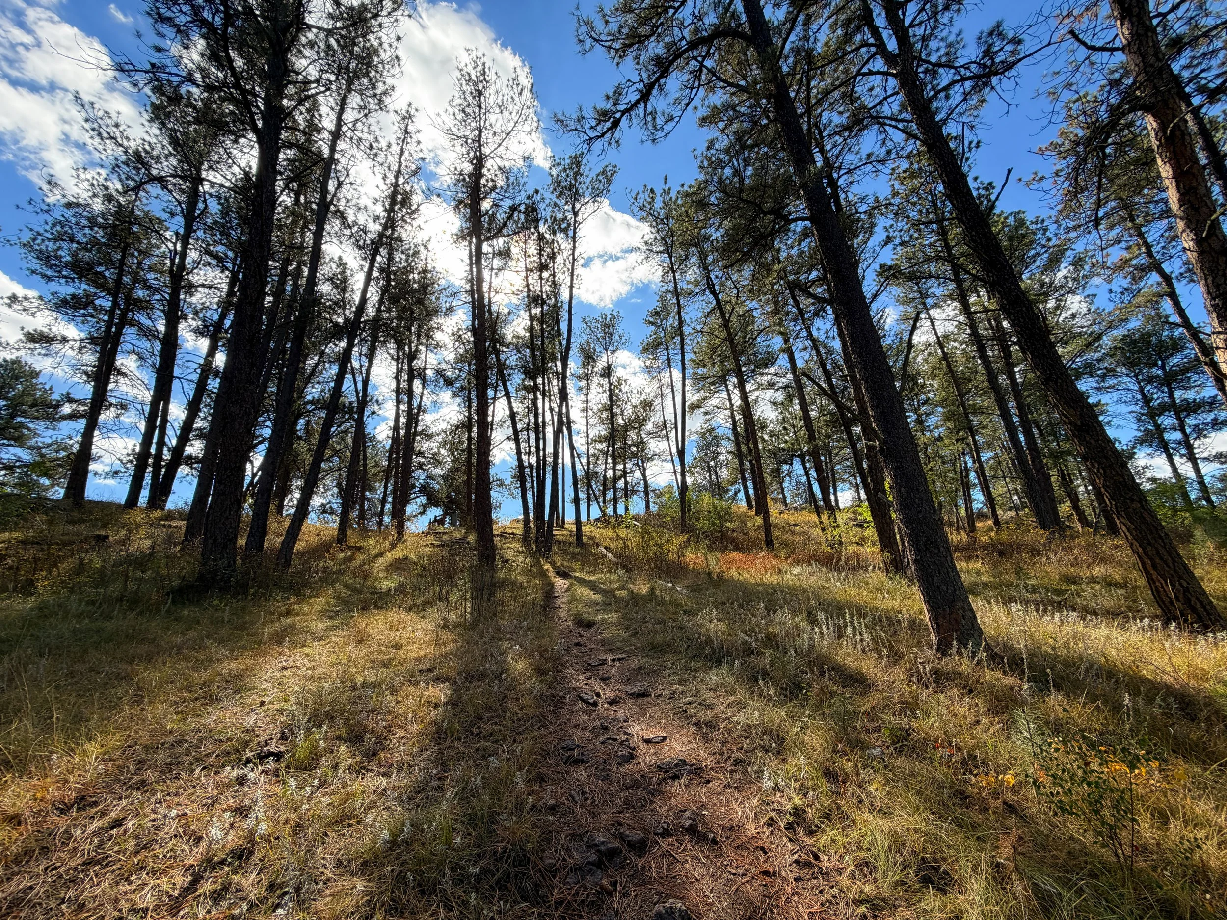 Lookout Point Loop Trail Wind Cave National Park South Dakota