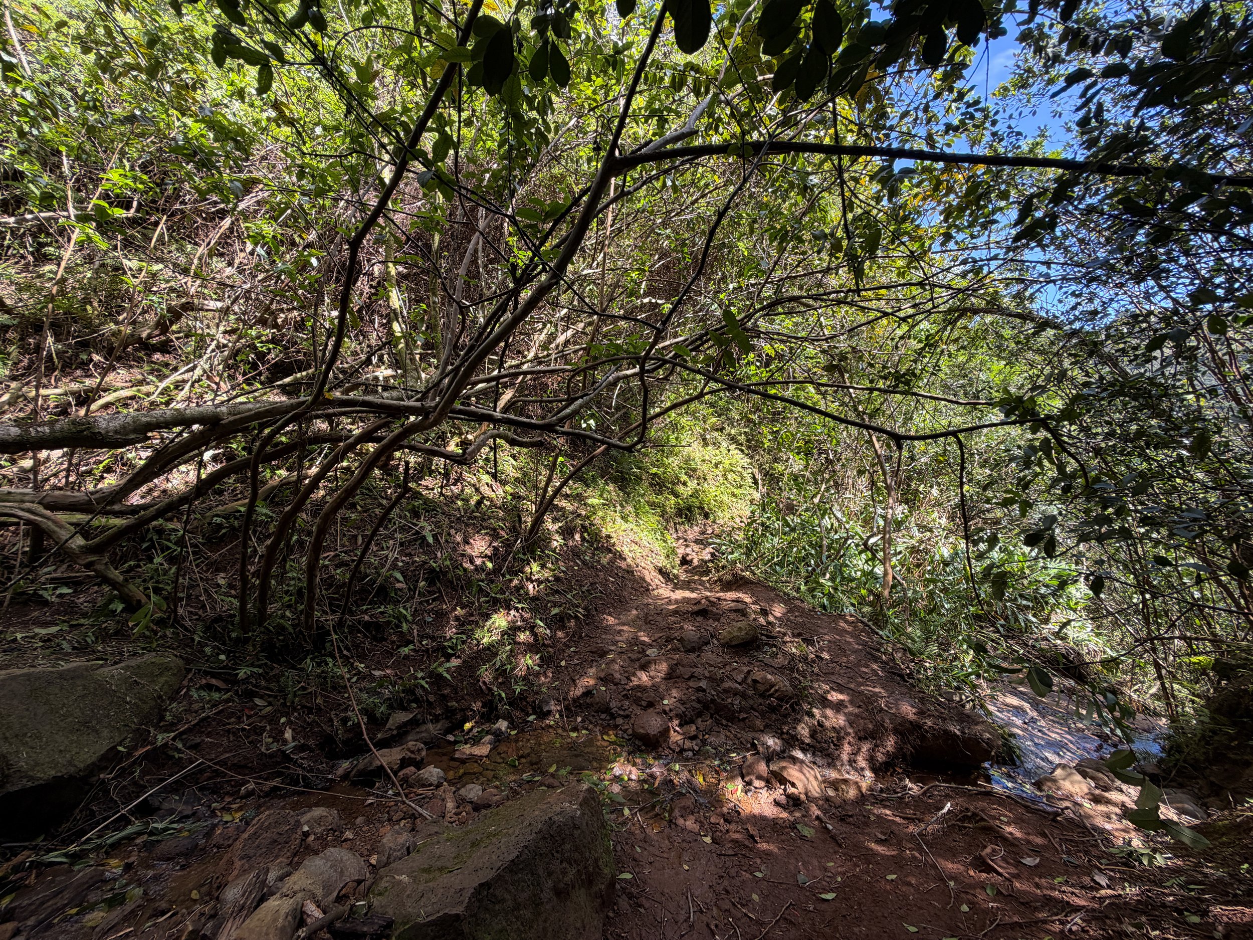 Waimano Pools Trail Oahu Hawaii