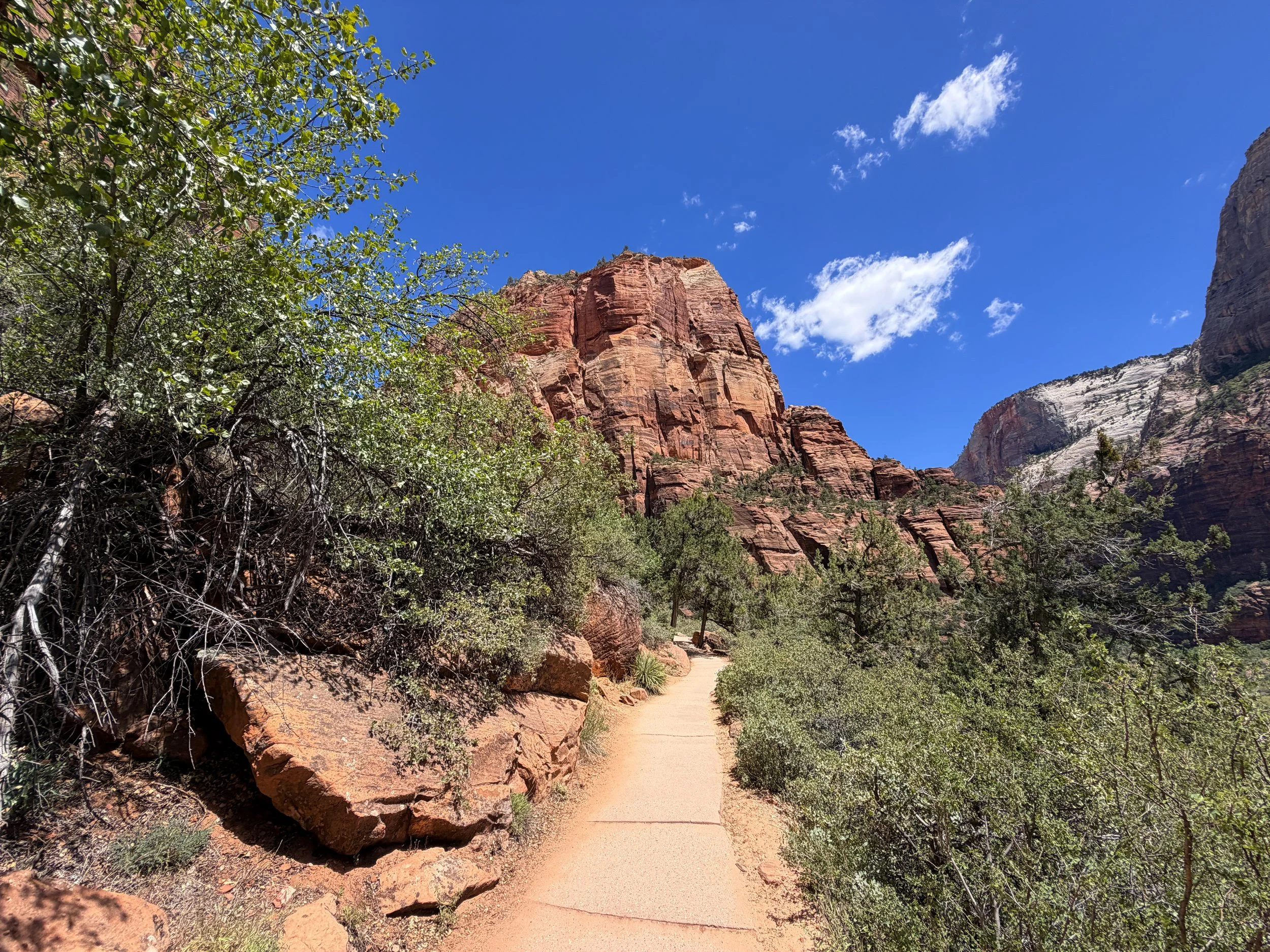 Angels Landing Trail Switchbacks Zion National Park Utah