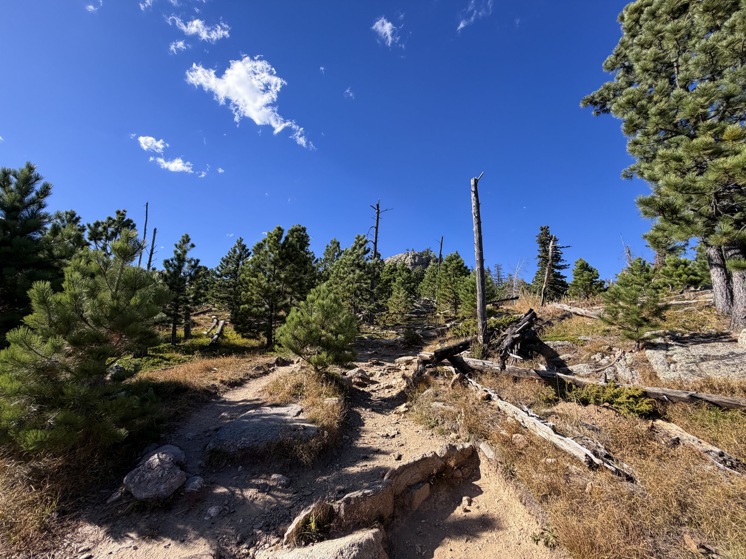 Black Elk Peak Trail to Harney Peak Lookout Black Hills South Dakota