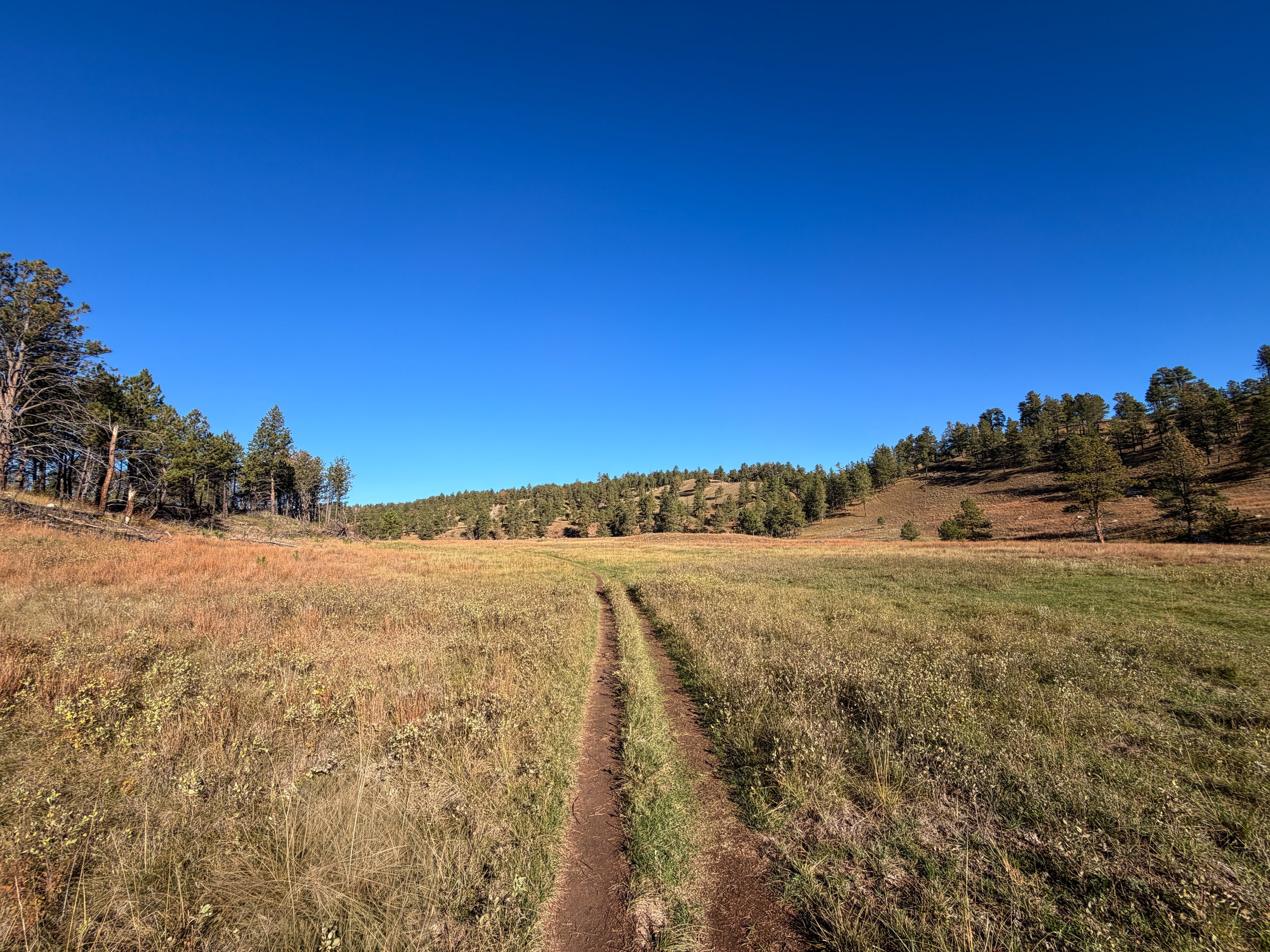 Cold Brook Canyon Trail Wind Cave National Park South Dakota