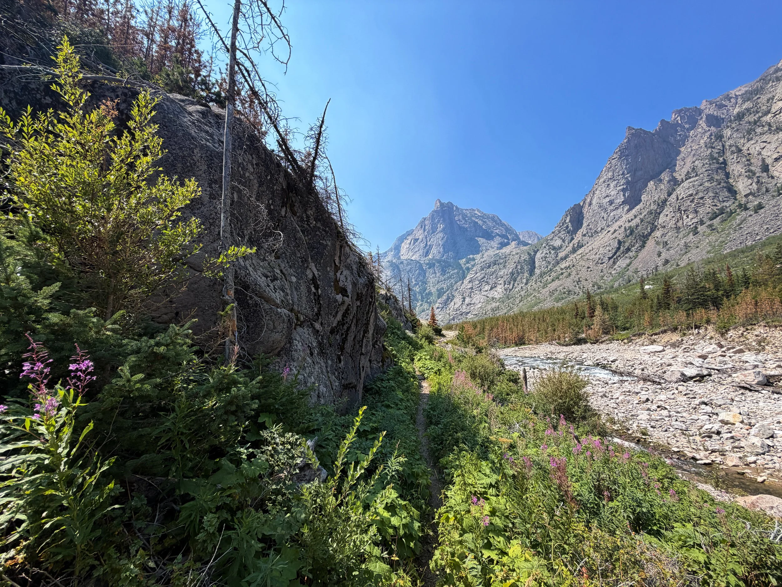 East Rosebud Trail Beaten Path Beartooth Mountains Montana