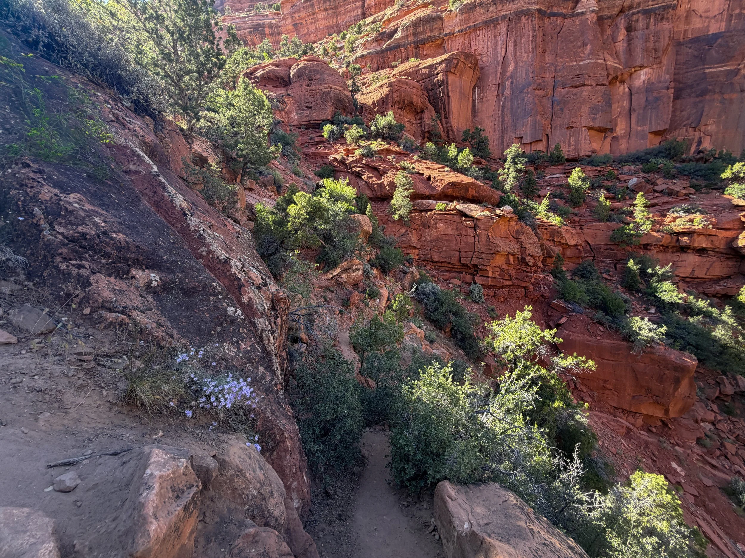 Left Fork Trail to the Subway Zion National Park Utah