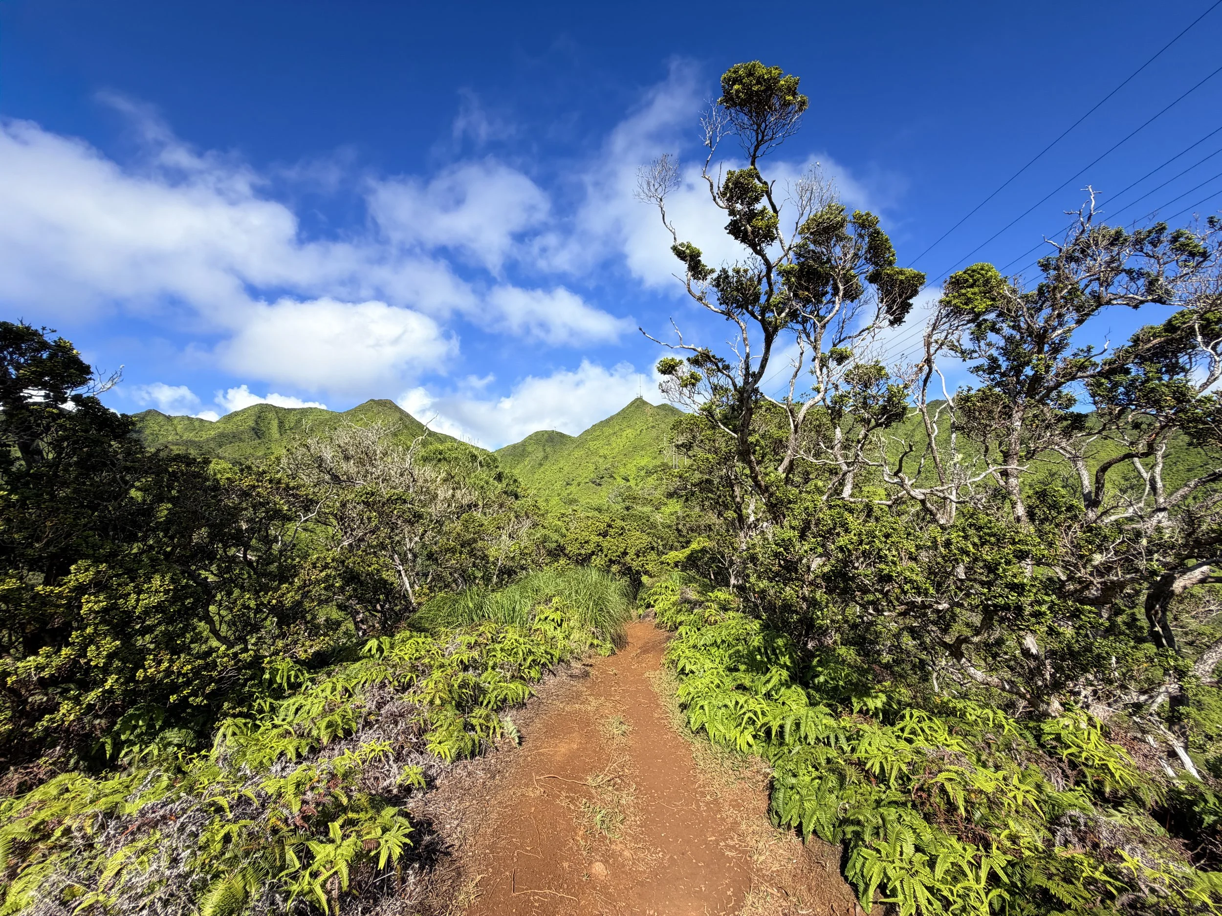 Wiliwilinui Ridge Trail Oahu Hawaii